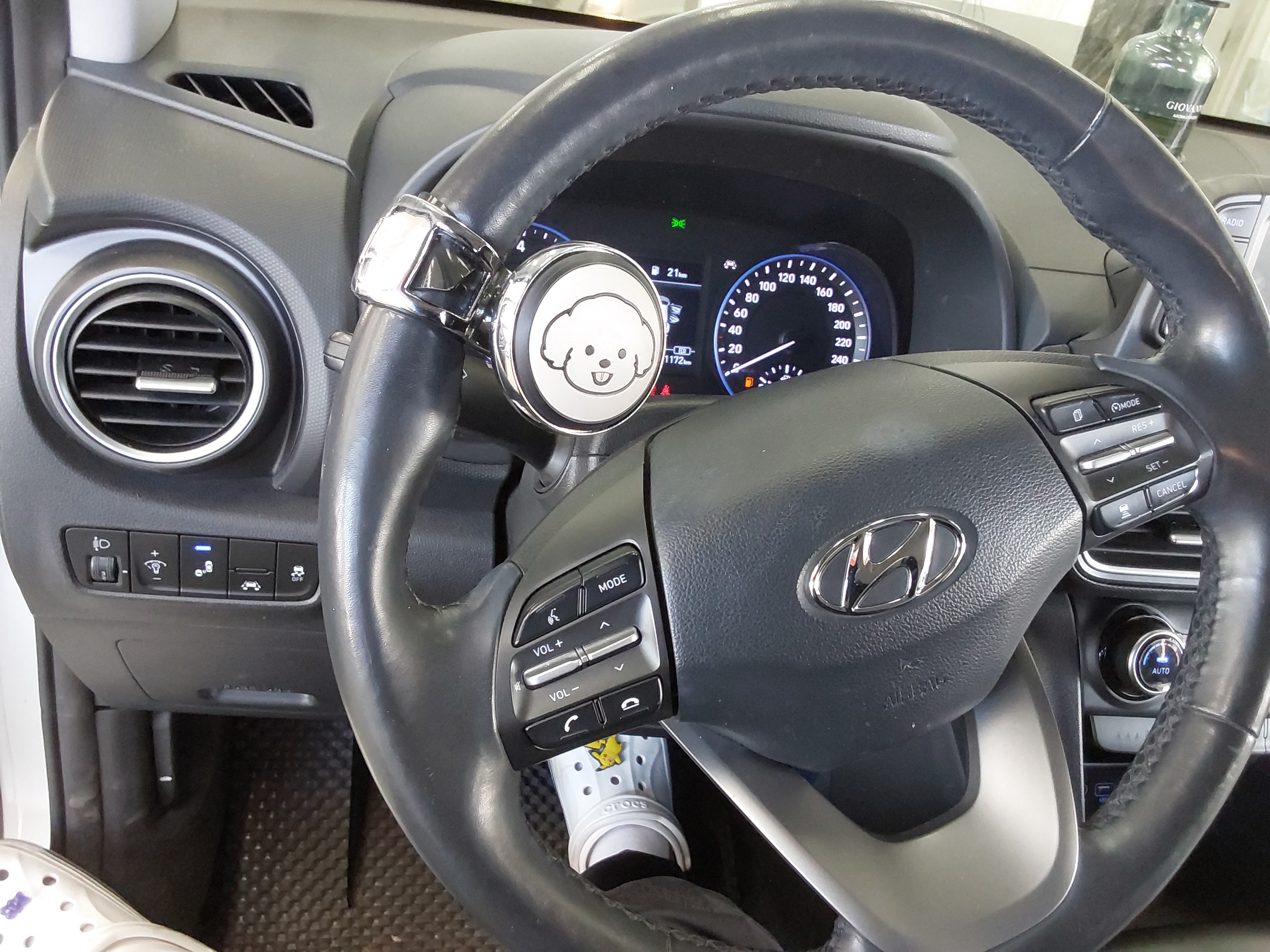 صورة إضافية