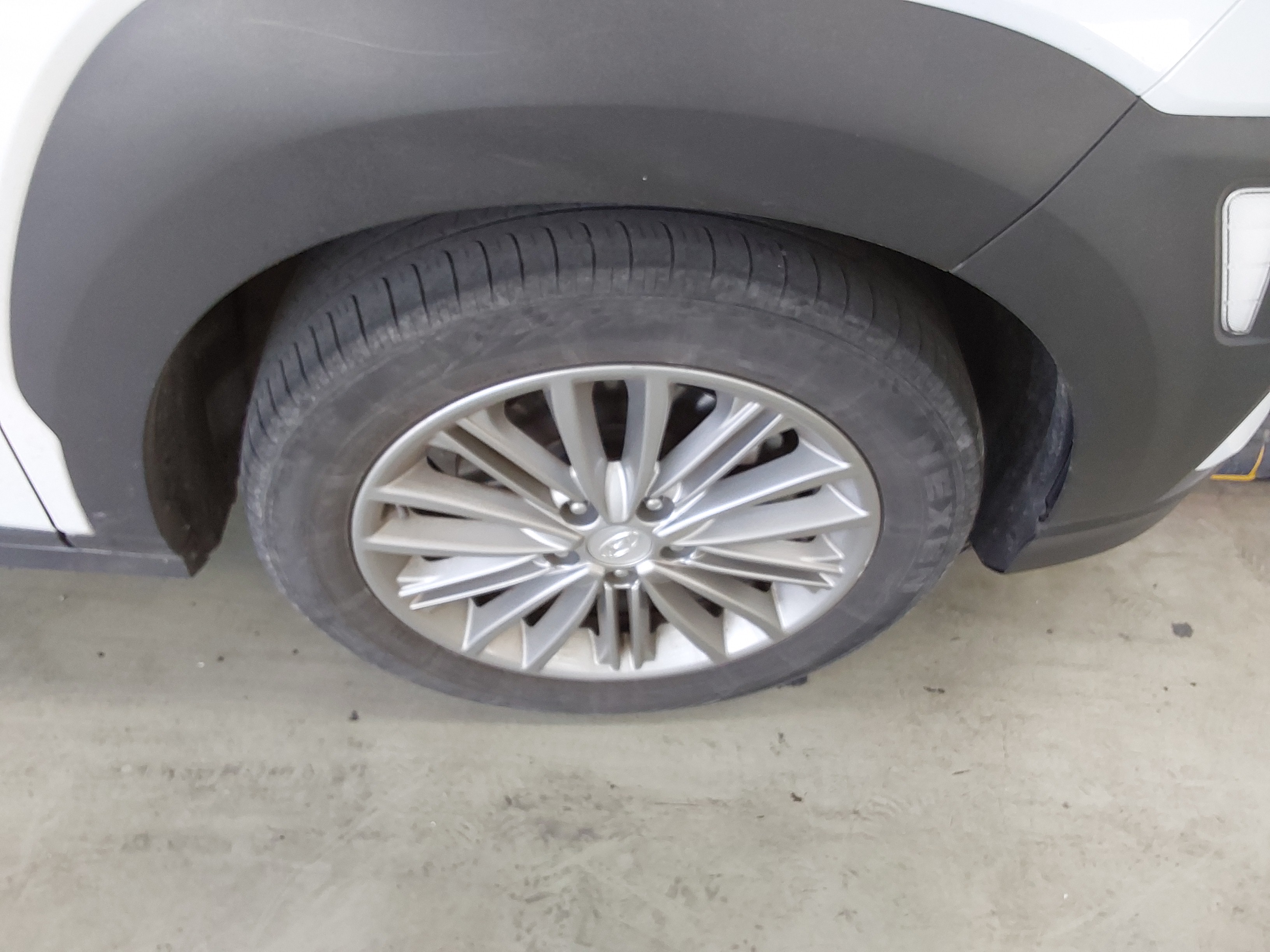 صورة إضافية