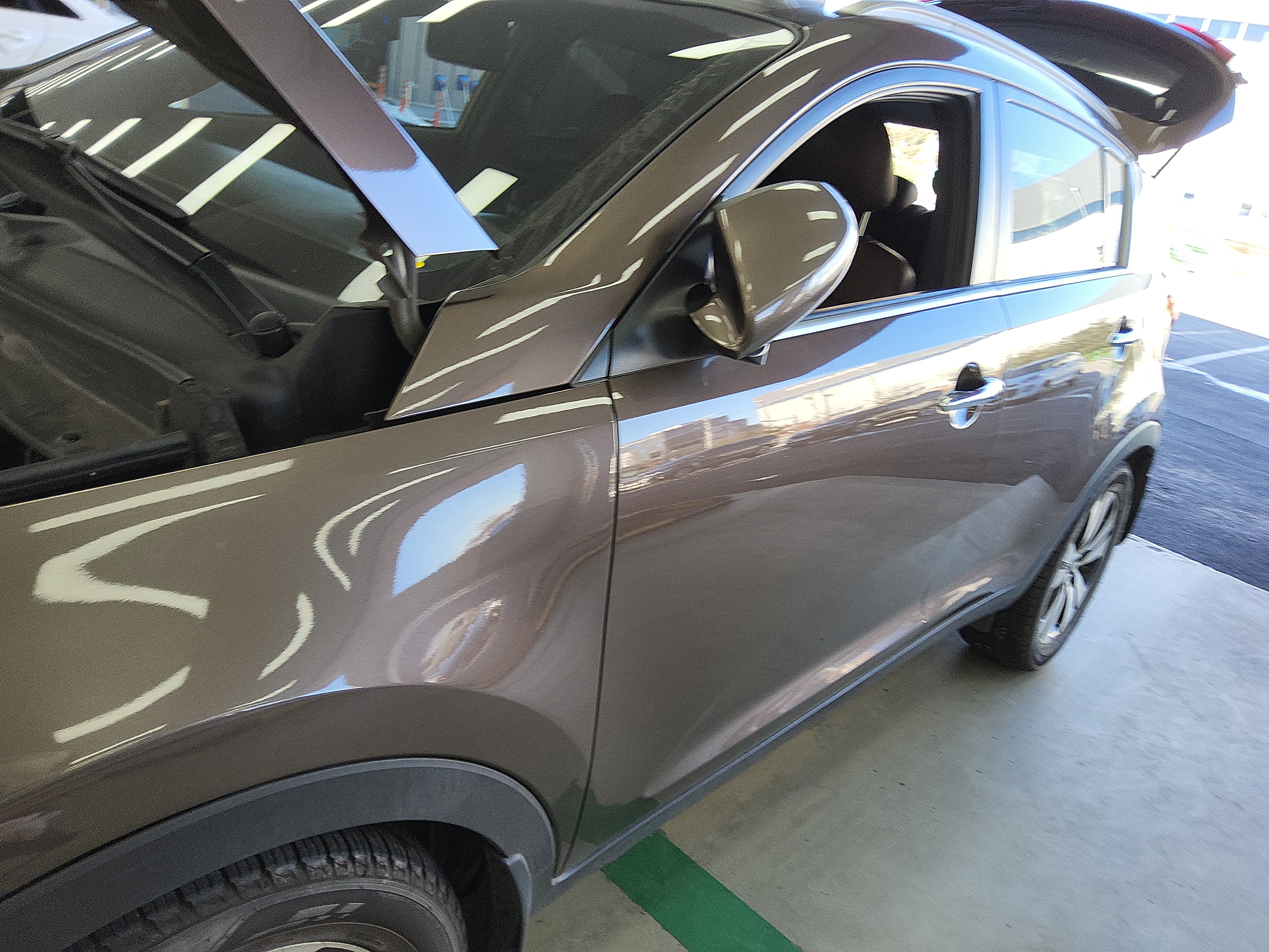 صورة إضافية