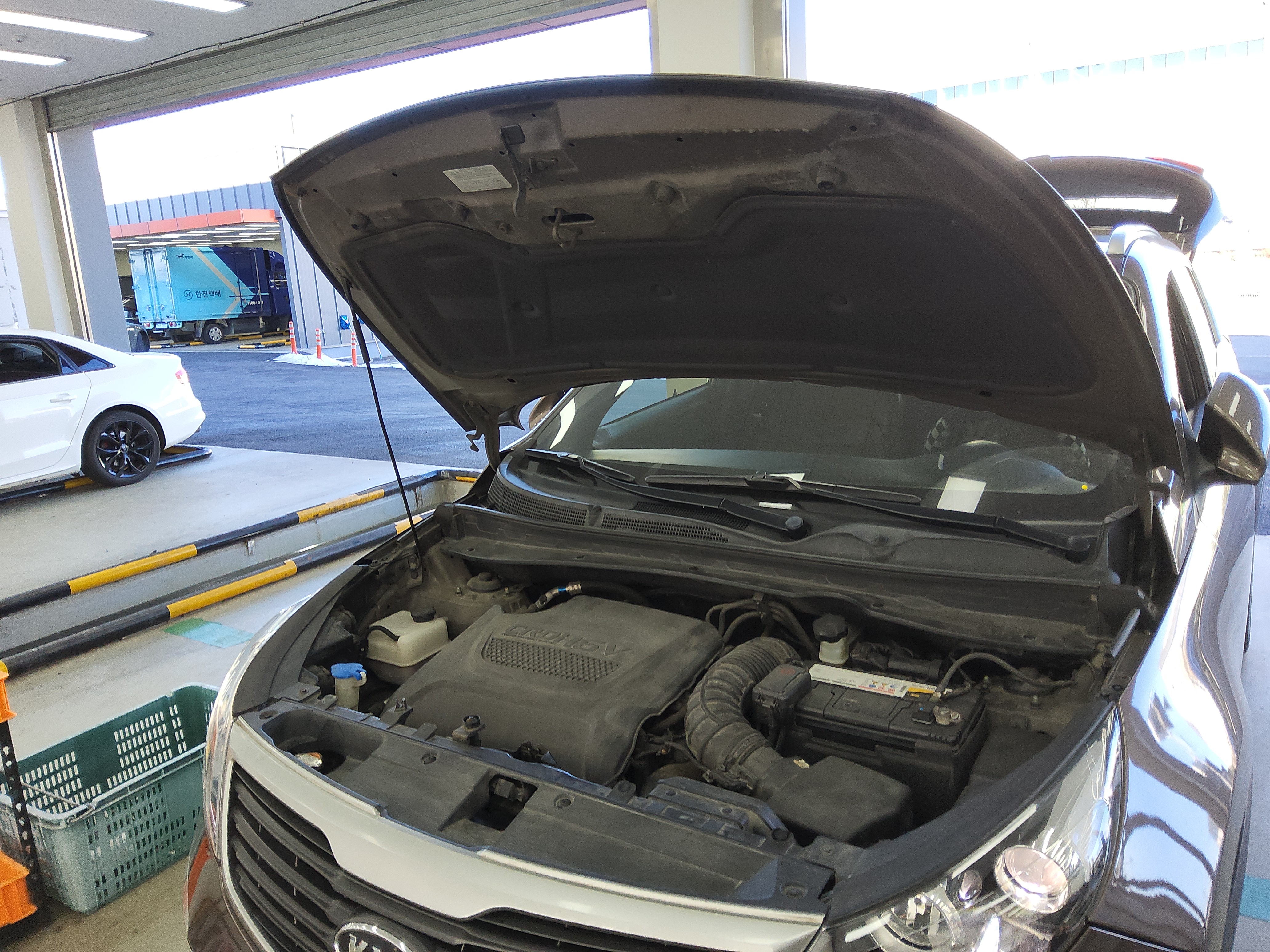 صورة إضافية