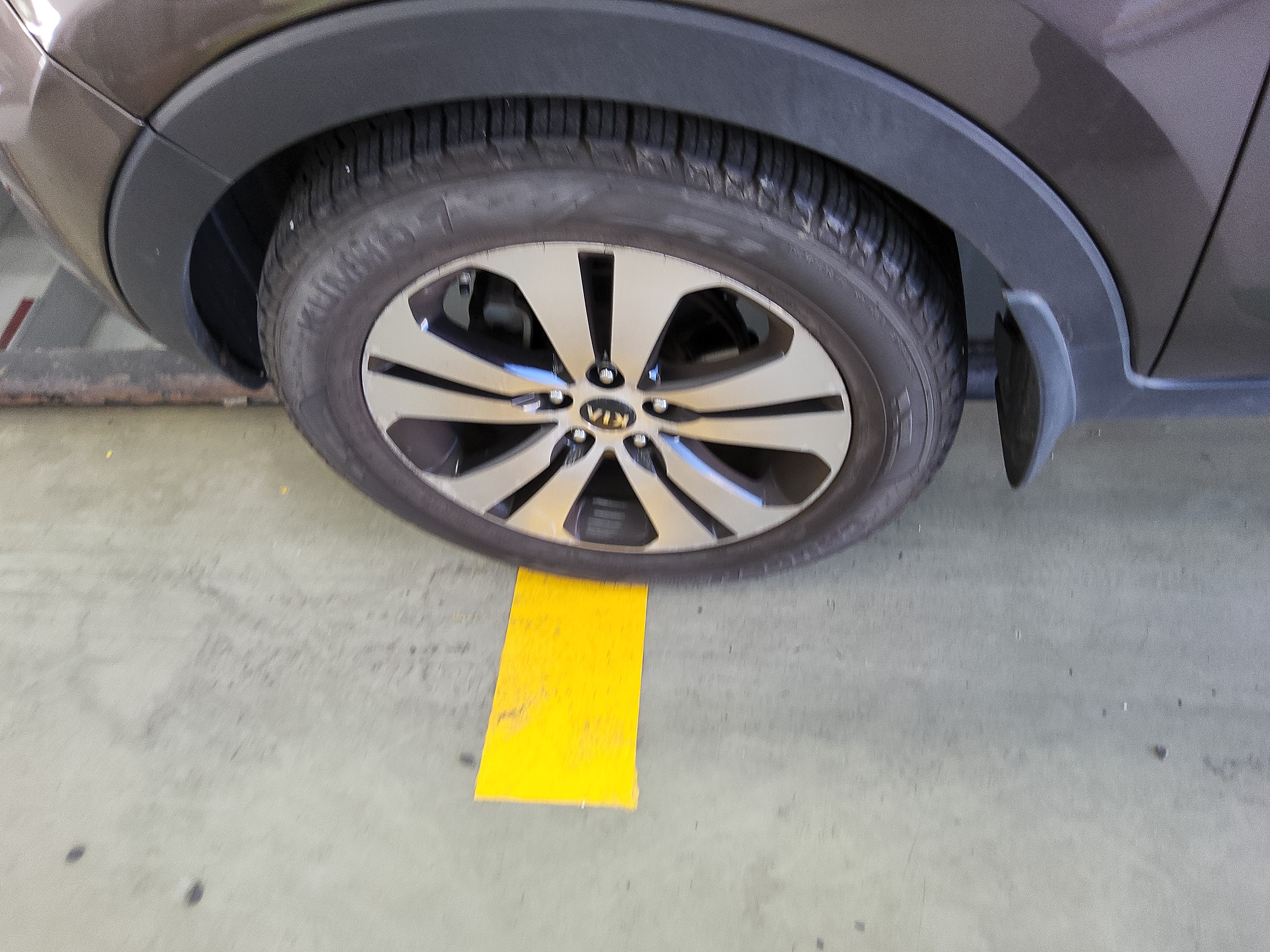 صورة إضافية