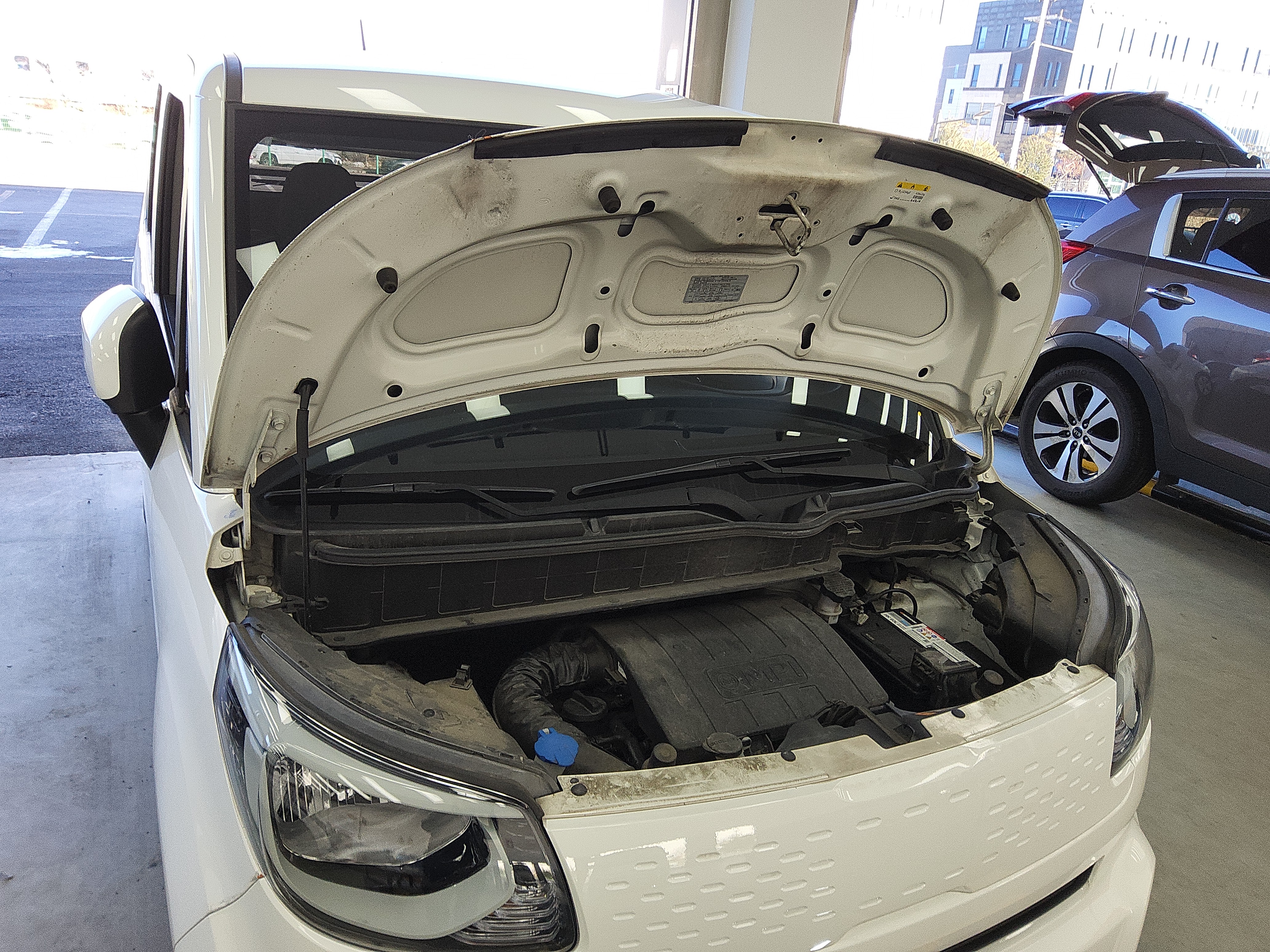 صورة إضافية