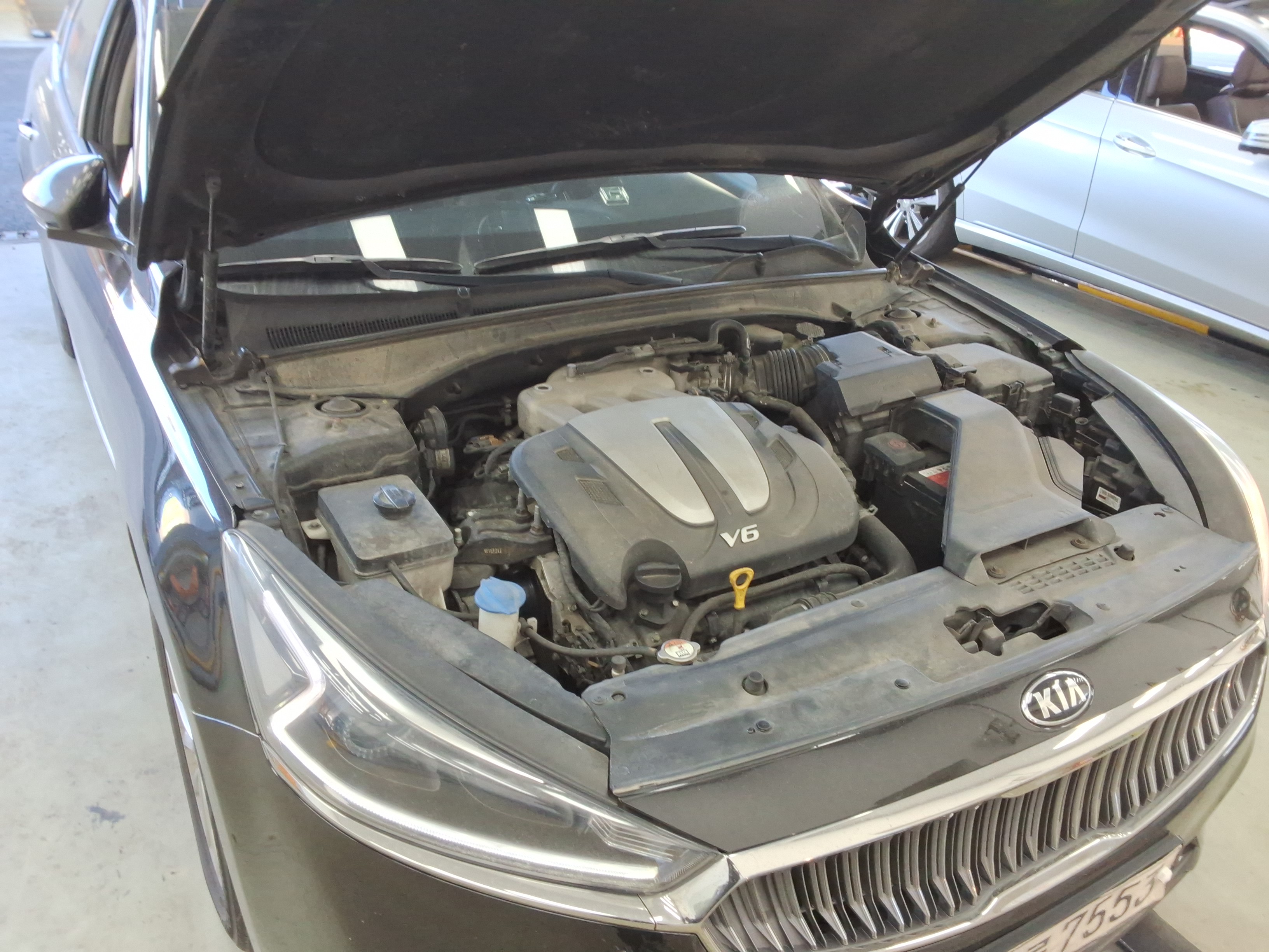 صورة إضافية