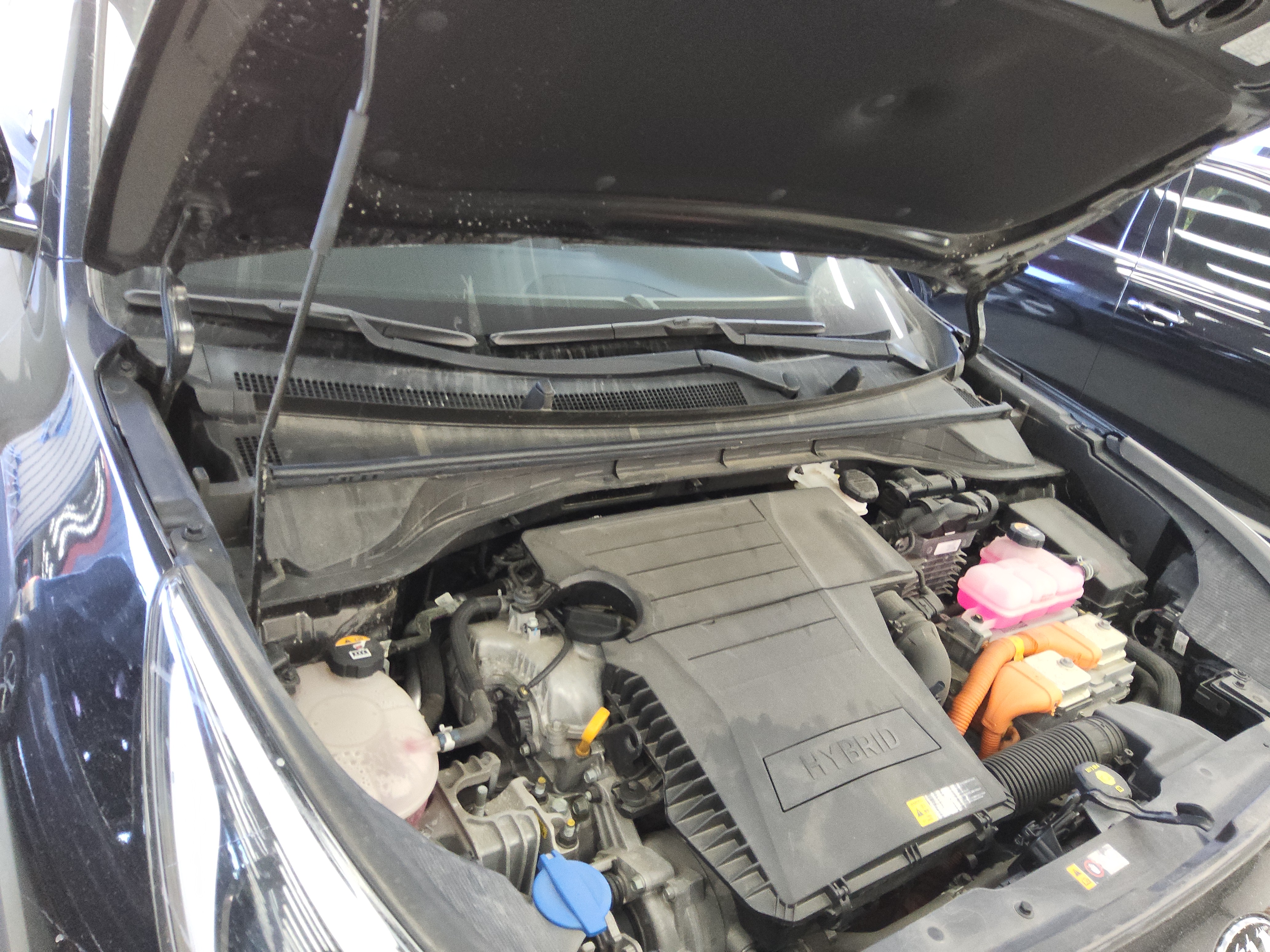 صورة إضافية