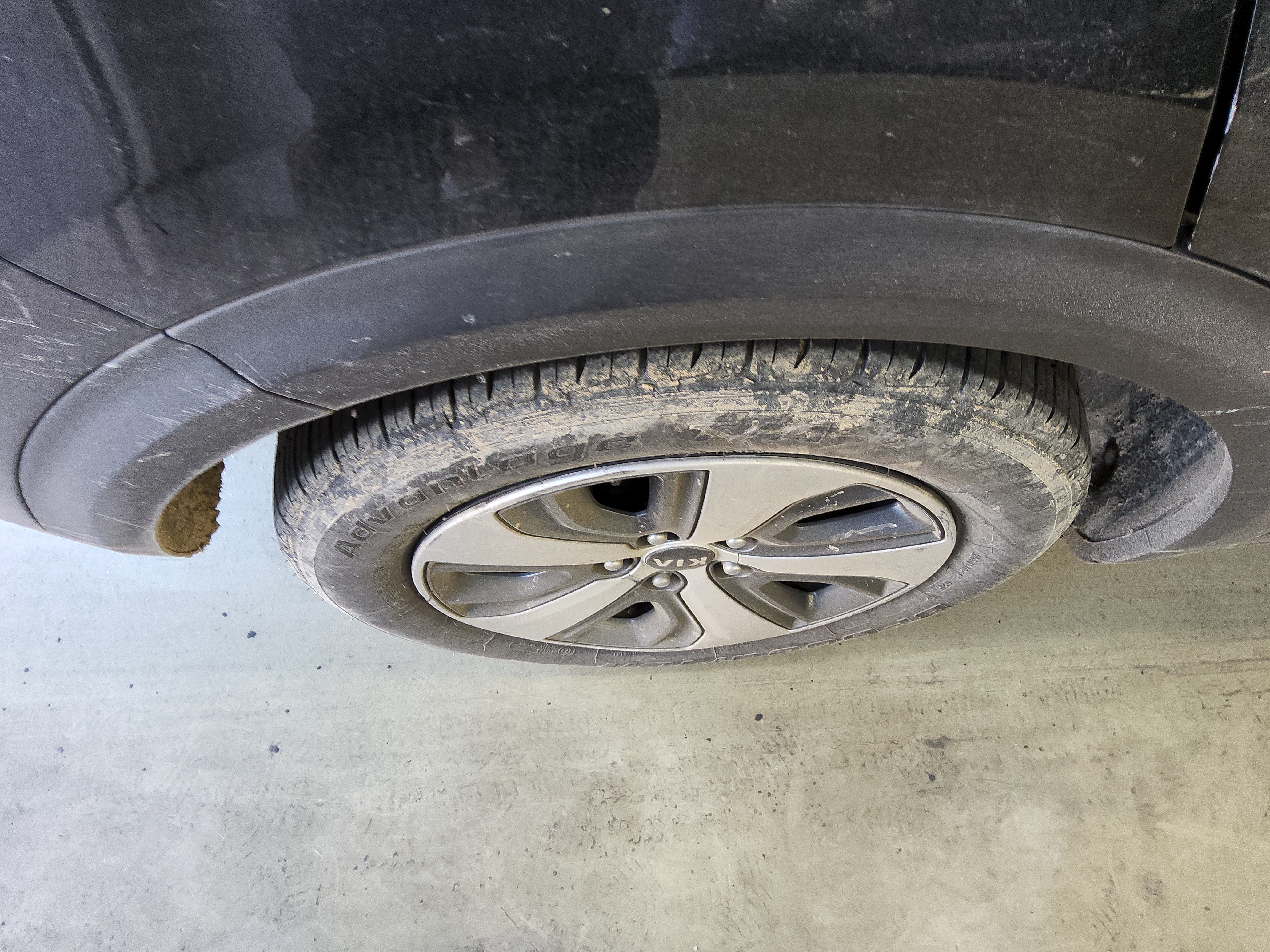 صورة إضافية