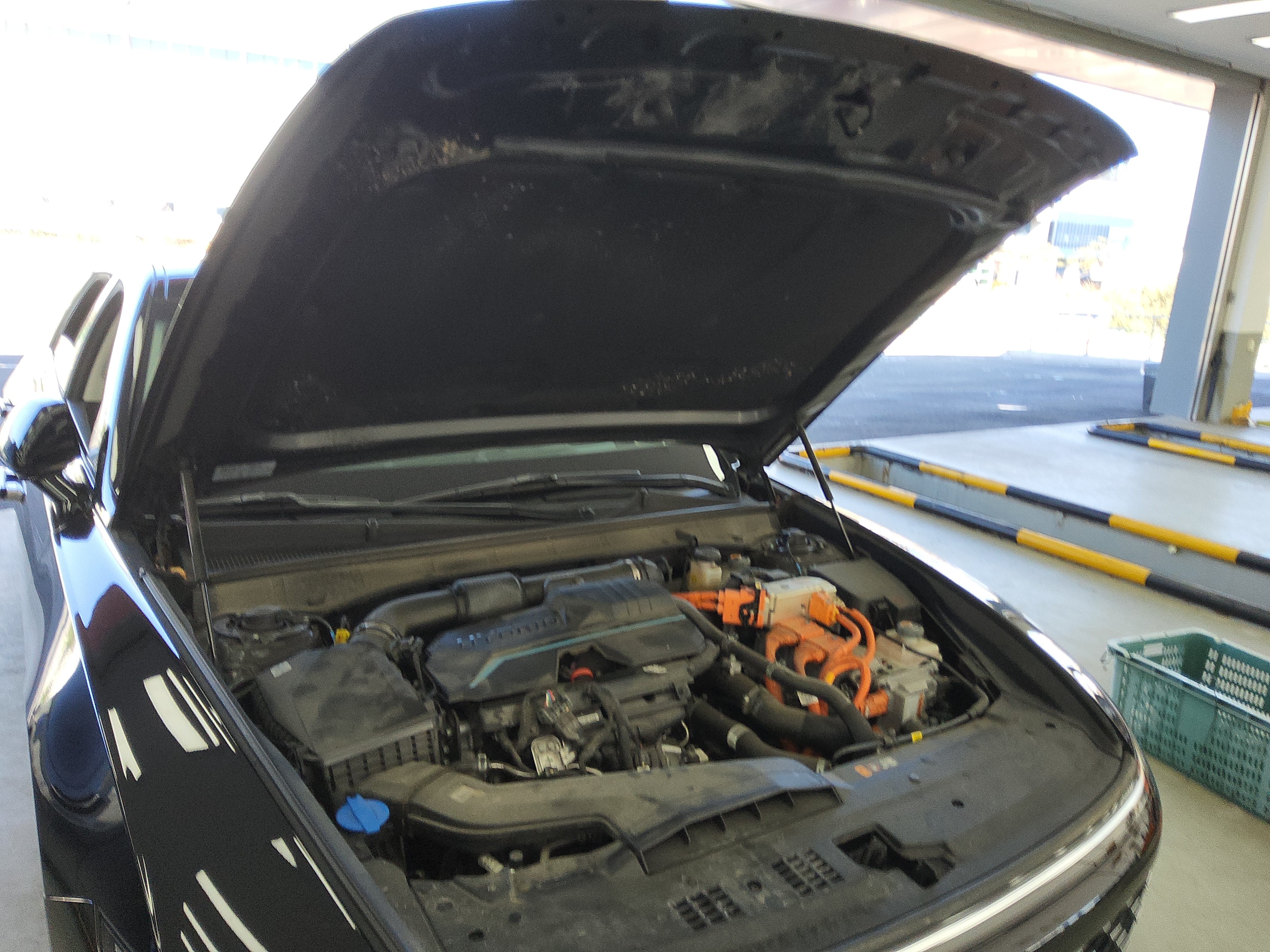 صورة إضافية