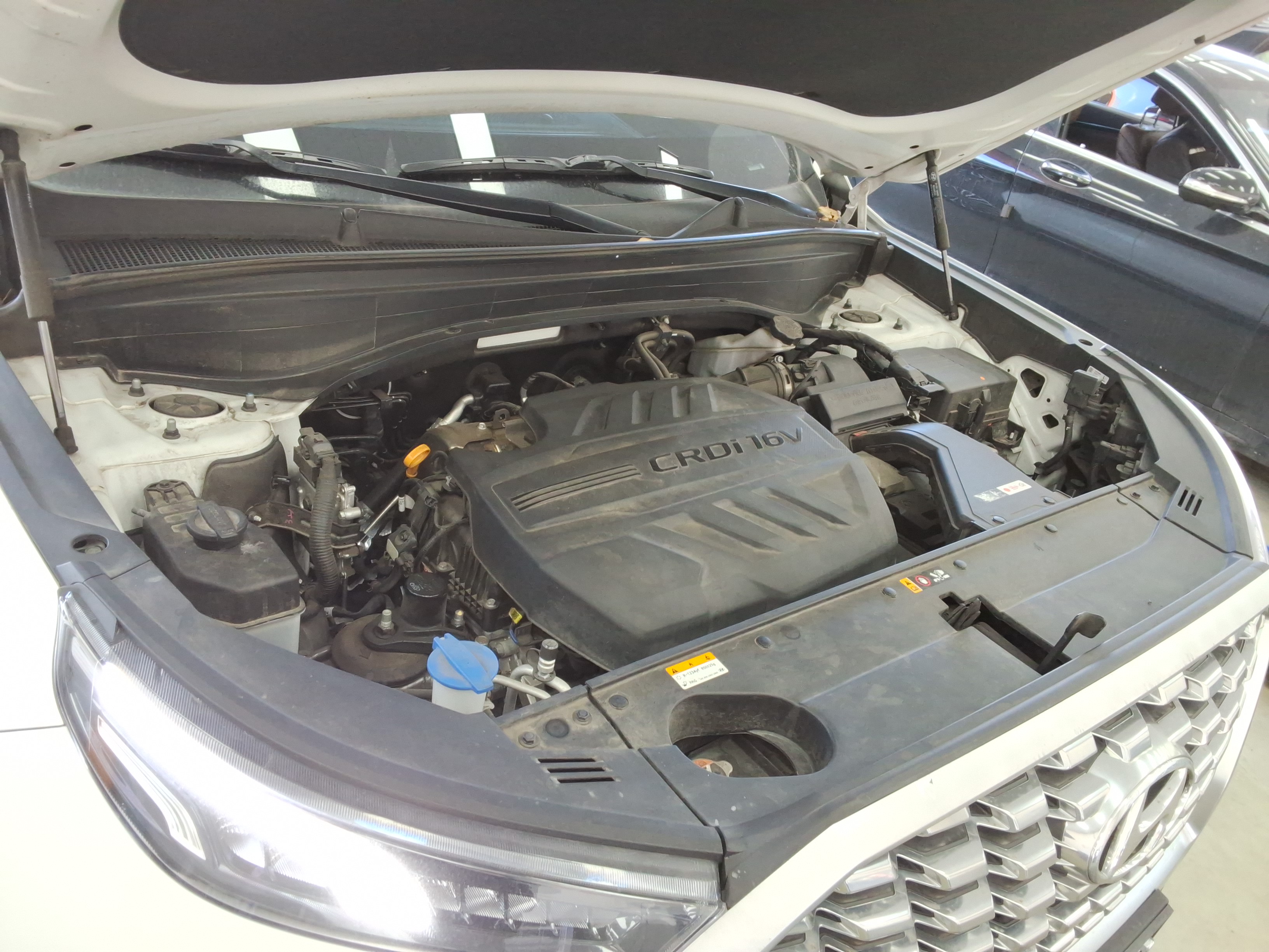 صورة إضافية