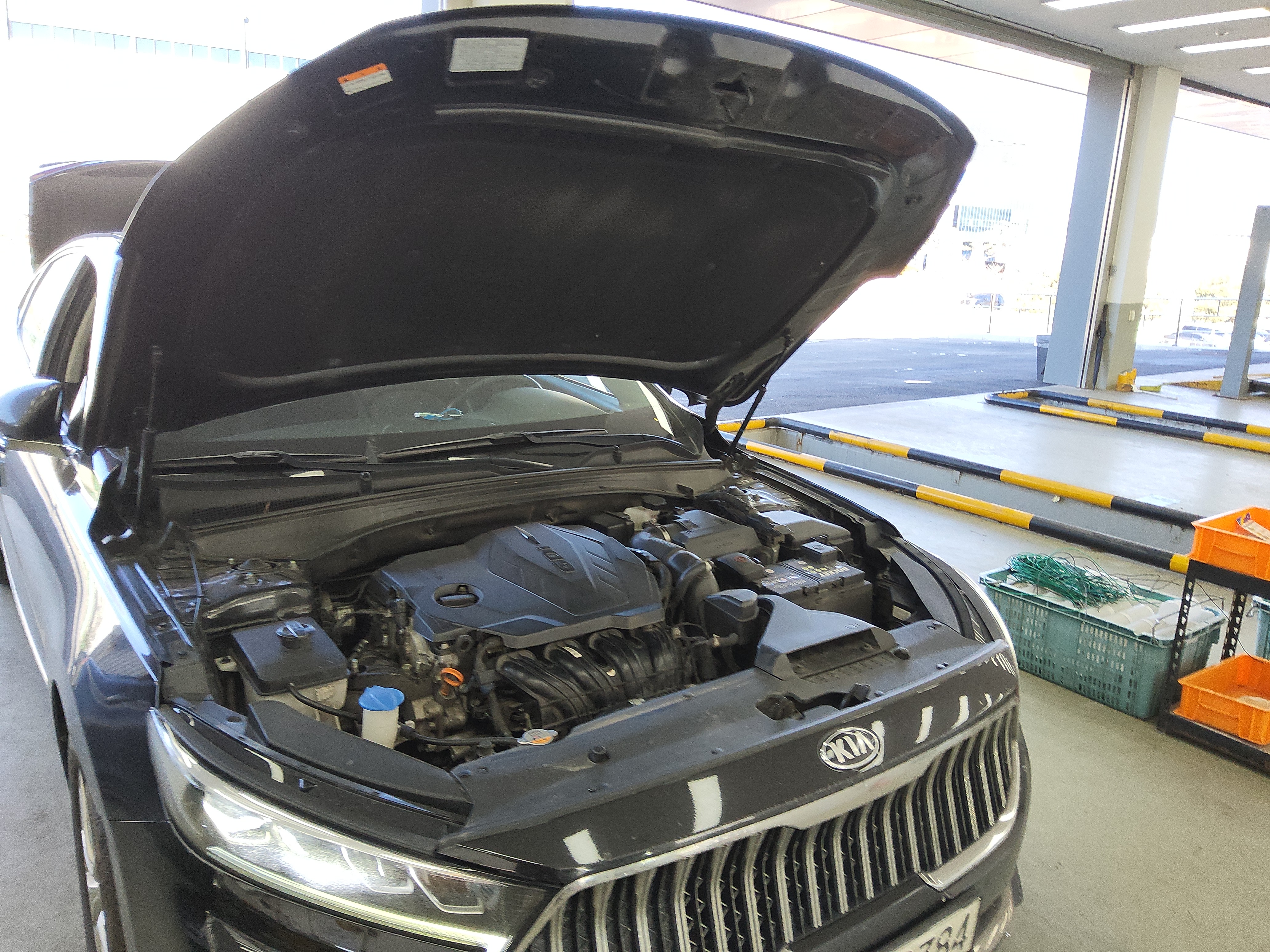 صورة إضافية