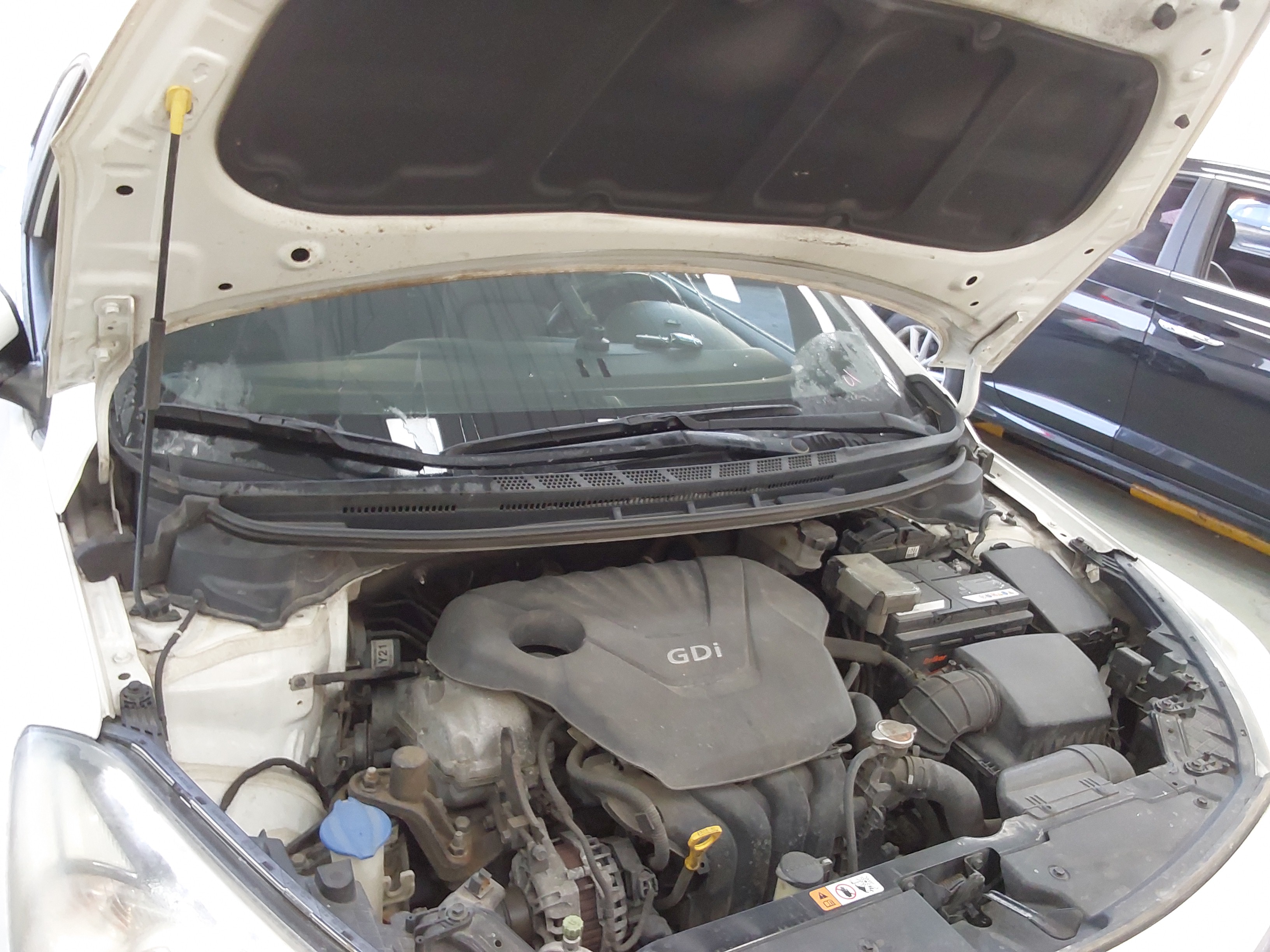 صورة إضافية