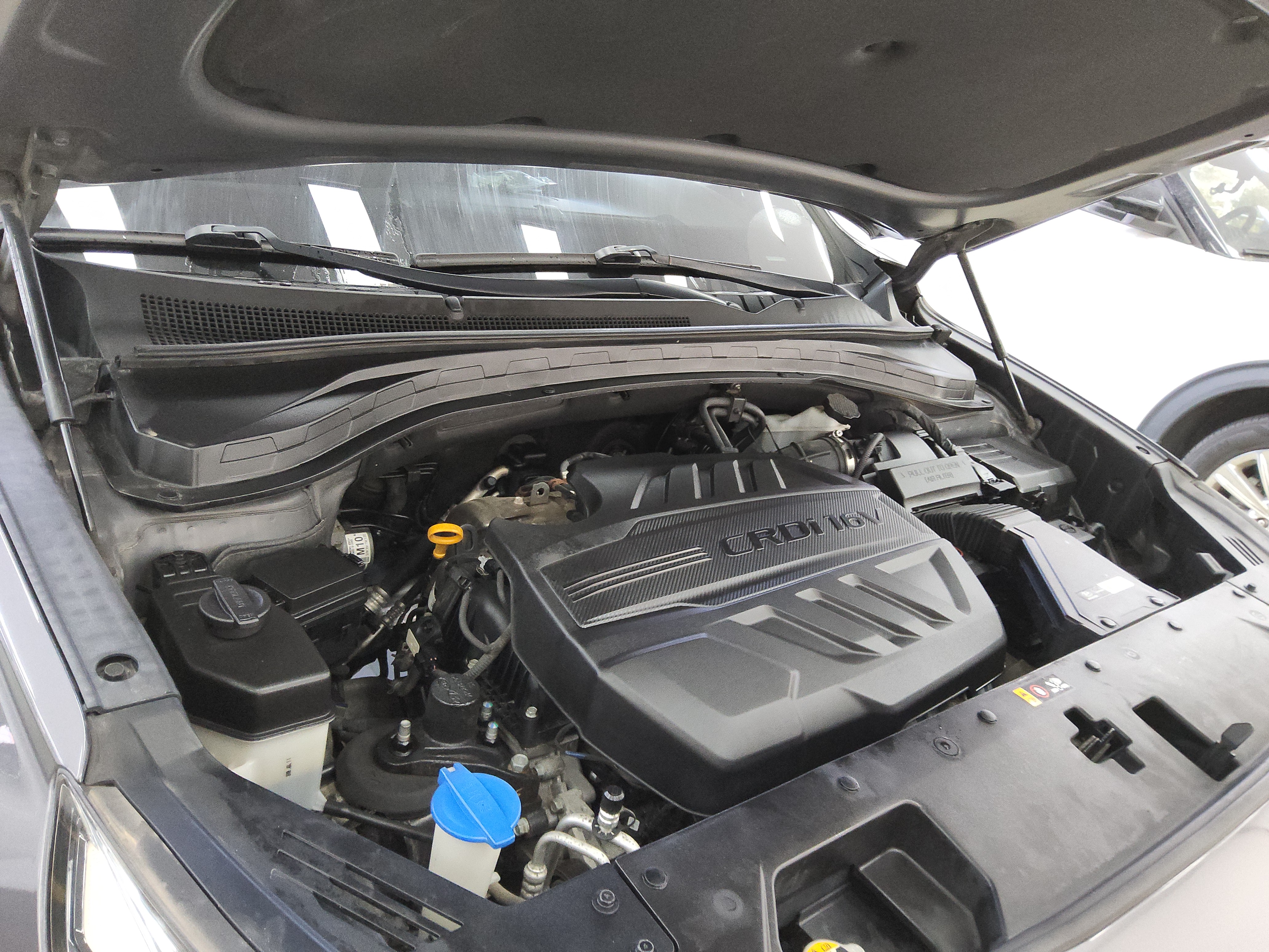 صورة إضافية