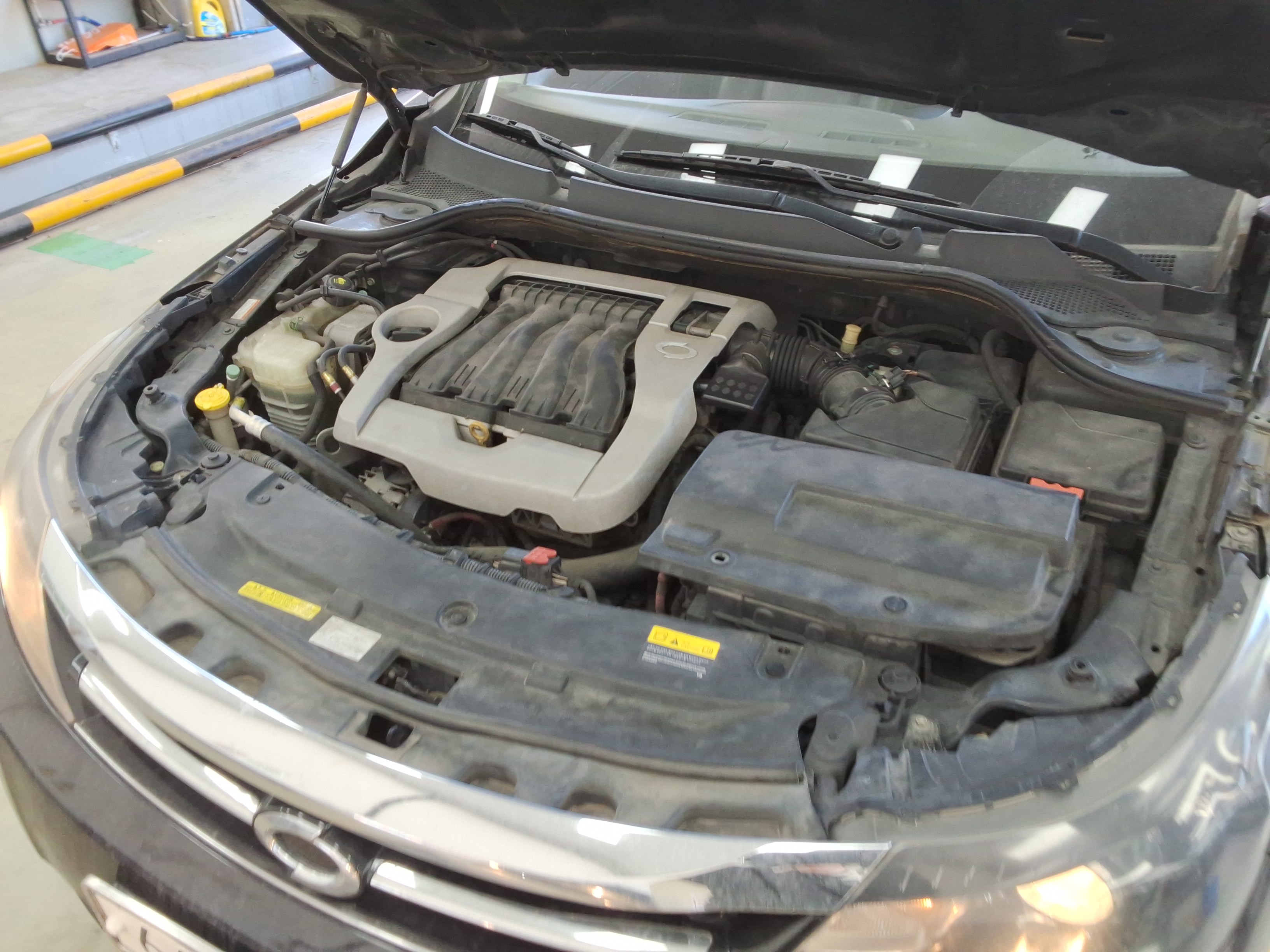 صورة إضافية