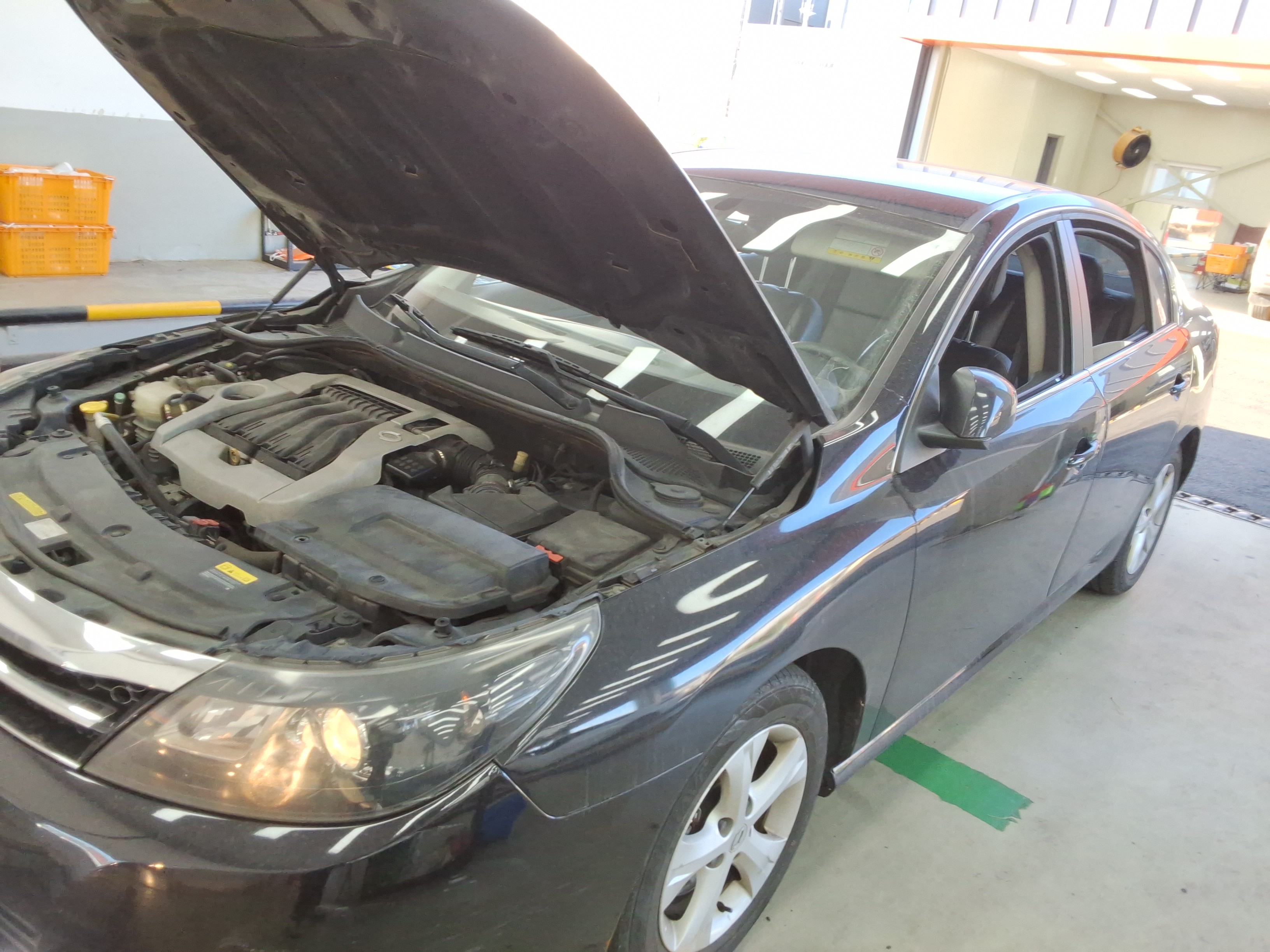 صورة إضافية