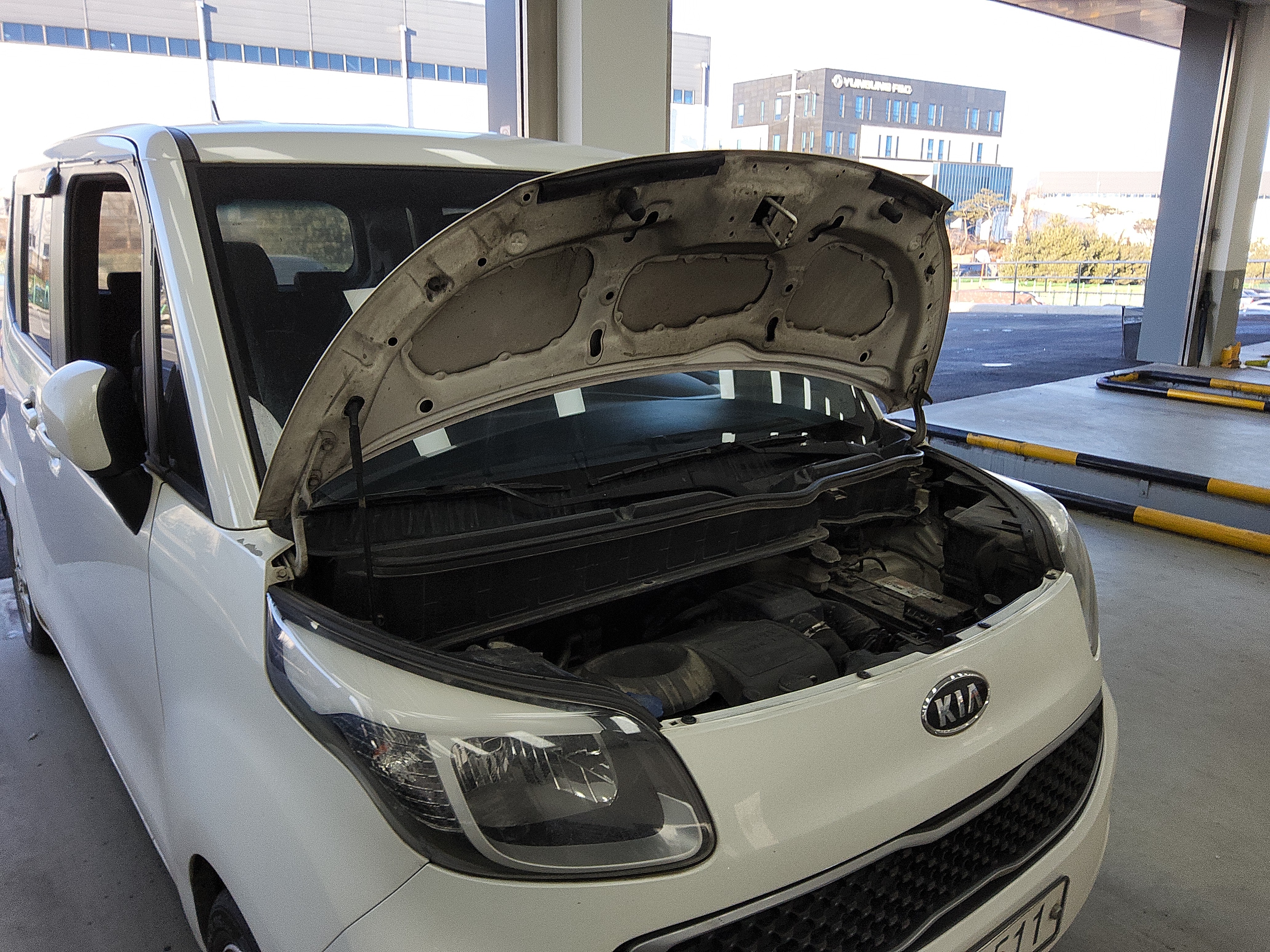 صورة إضافية