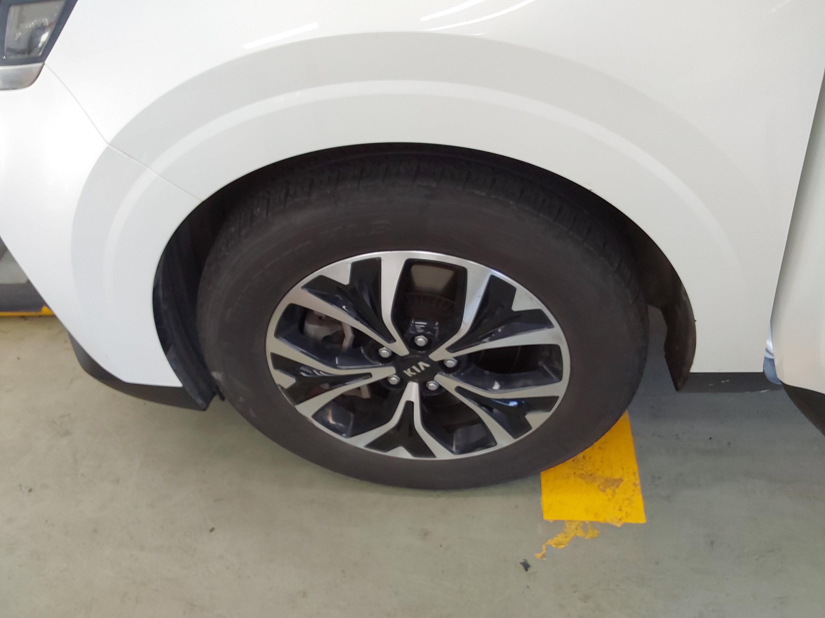 صورة إضافية