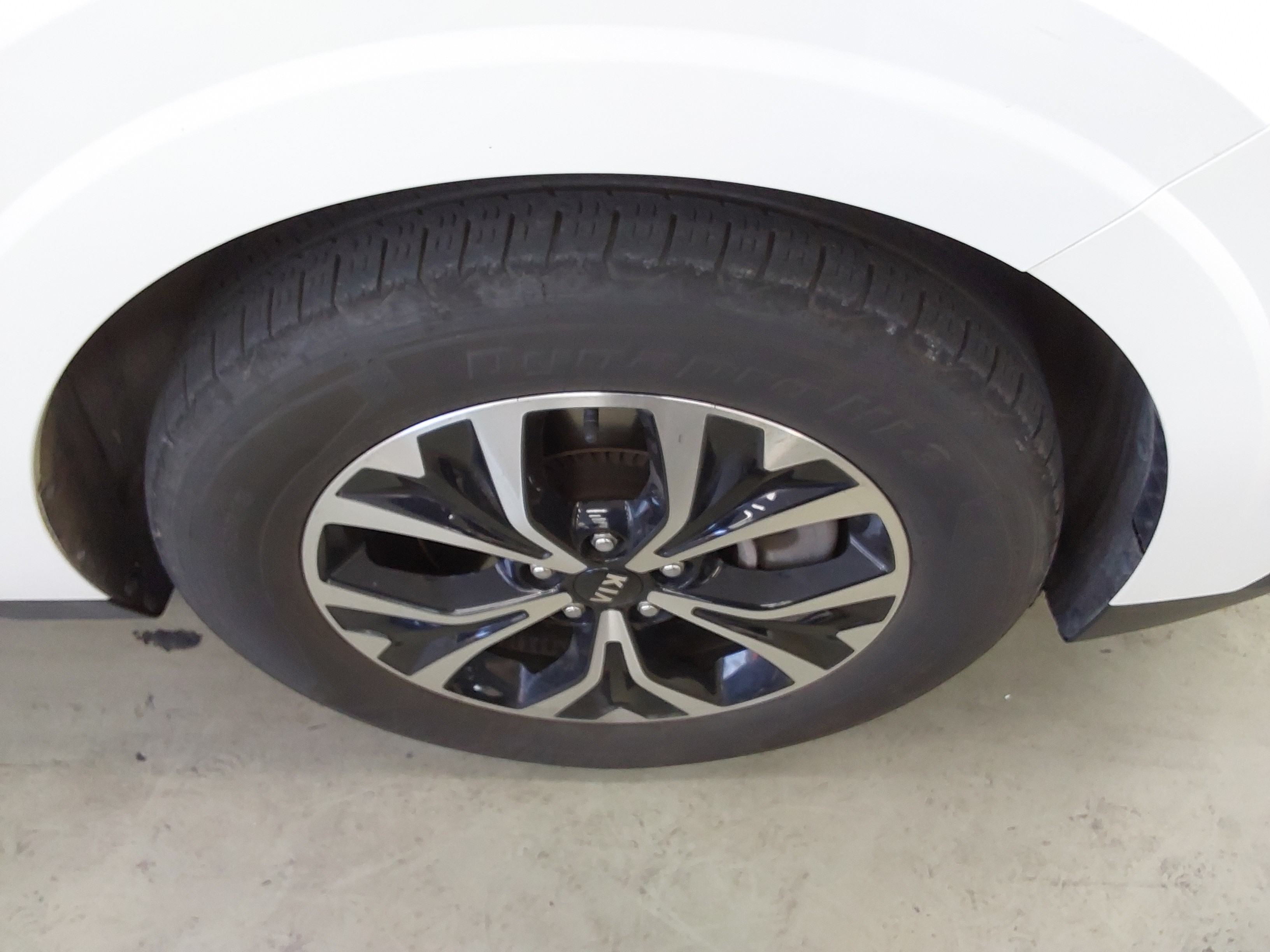 صورة إضافية