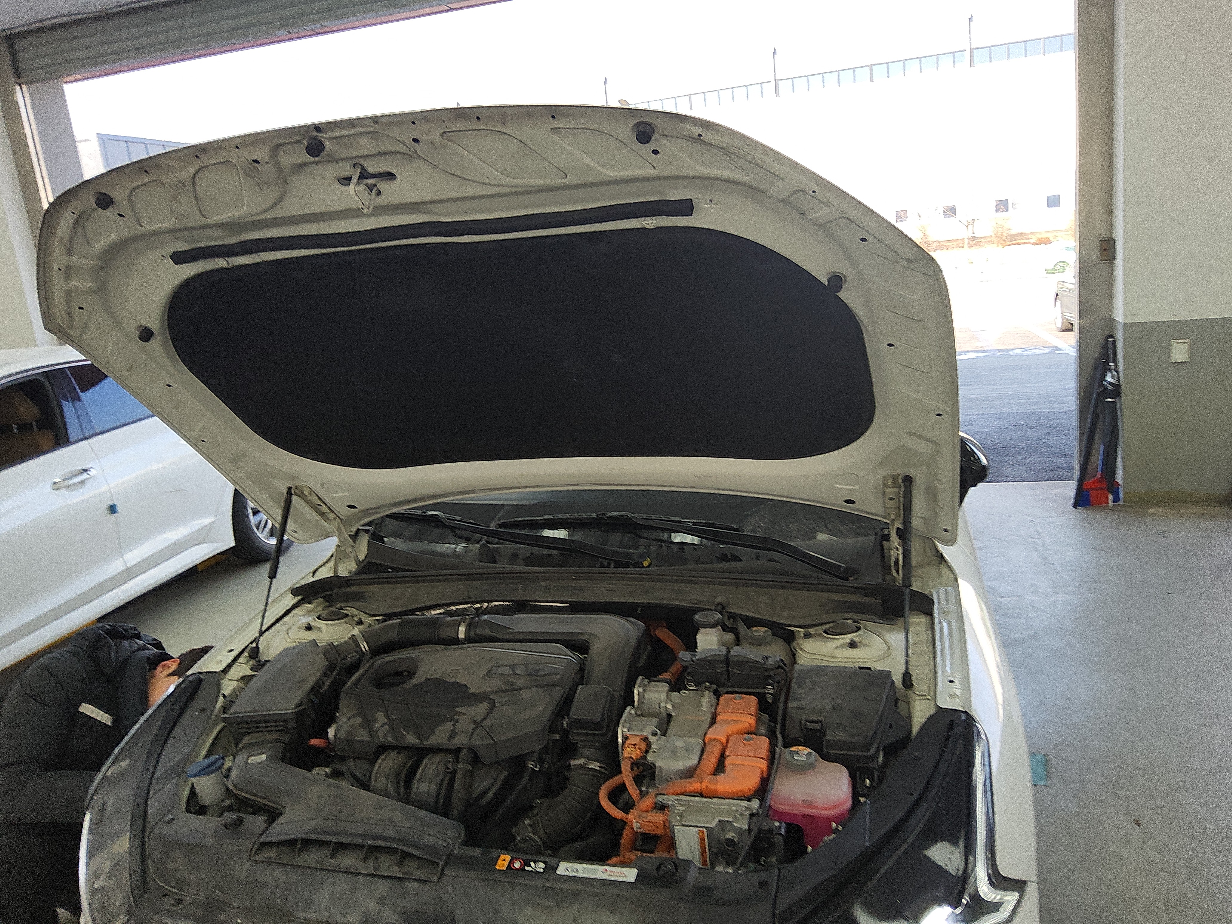 صورة إضافية