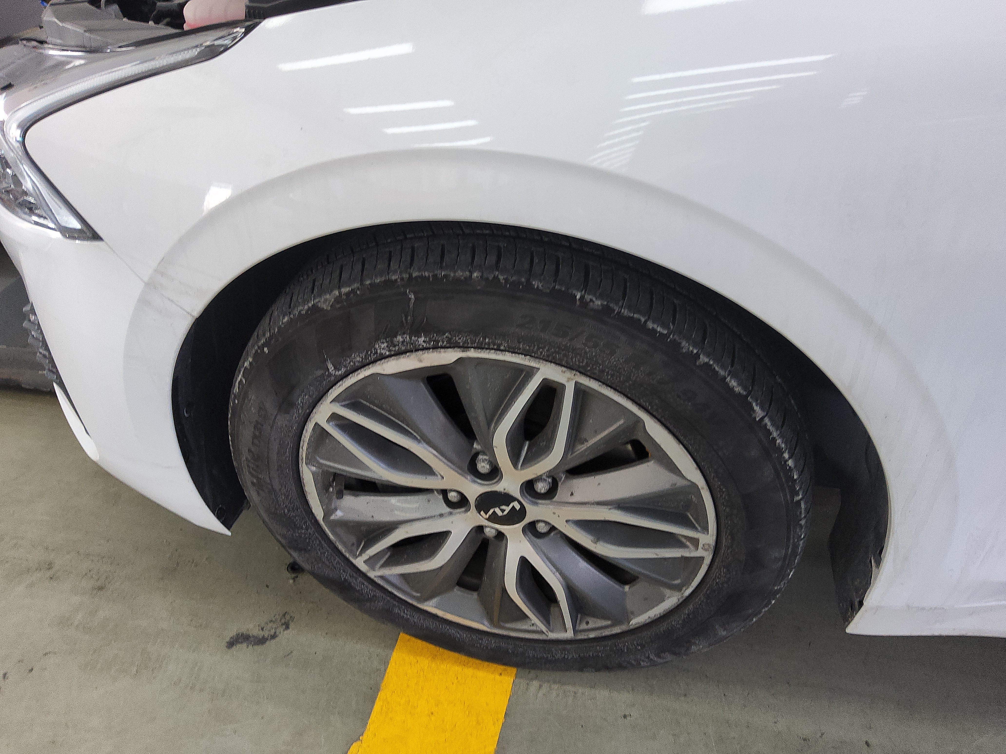 صورة إضافية