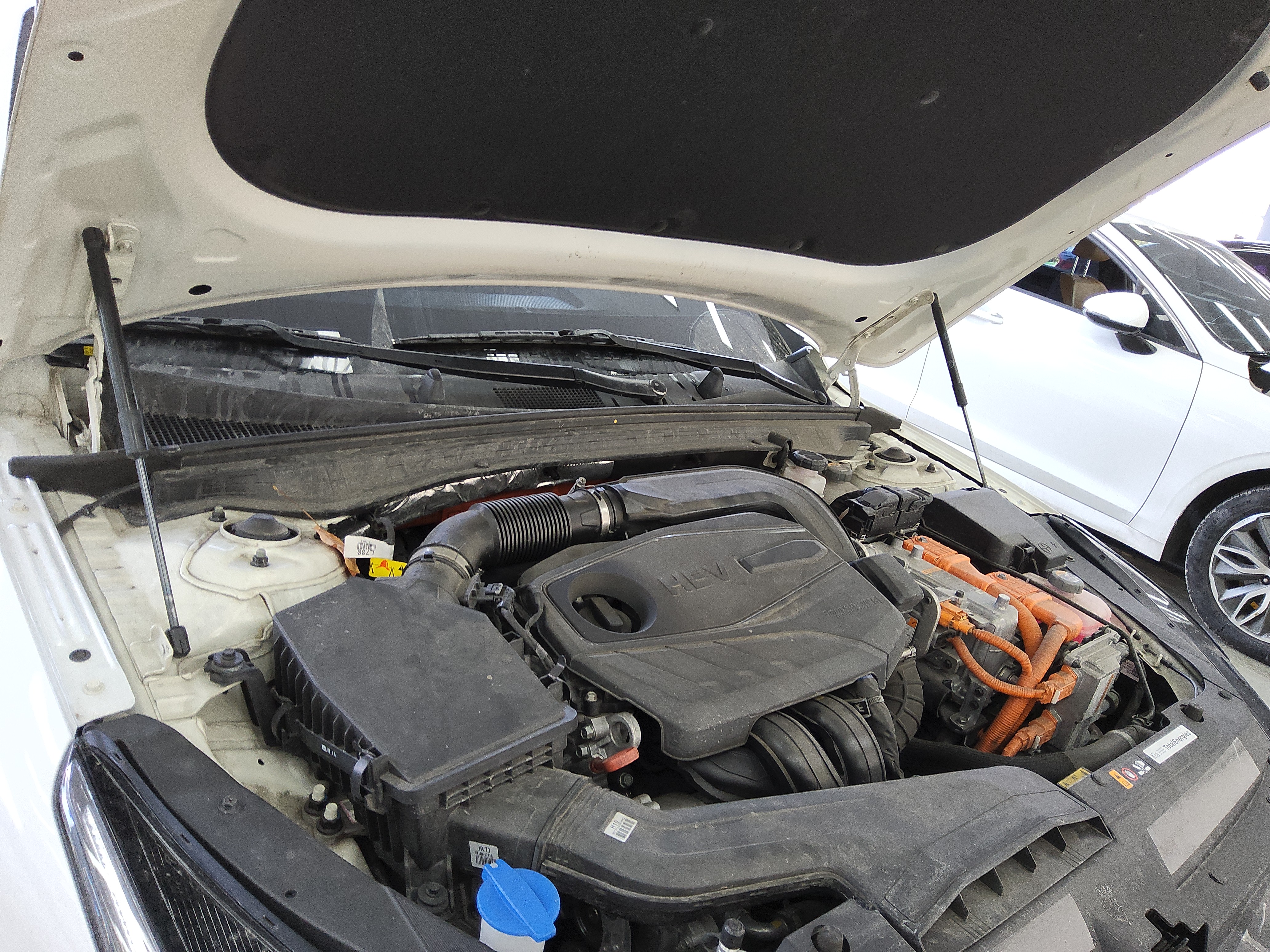 صورة إضافية