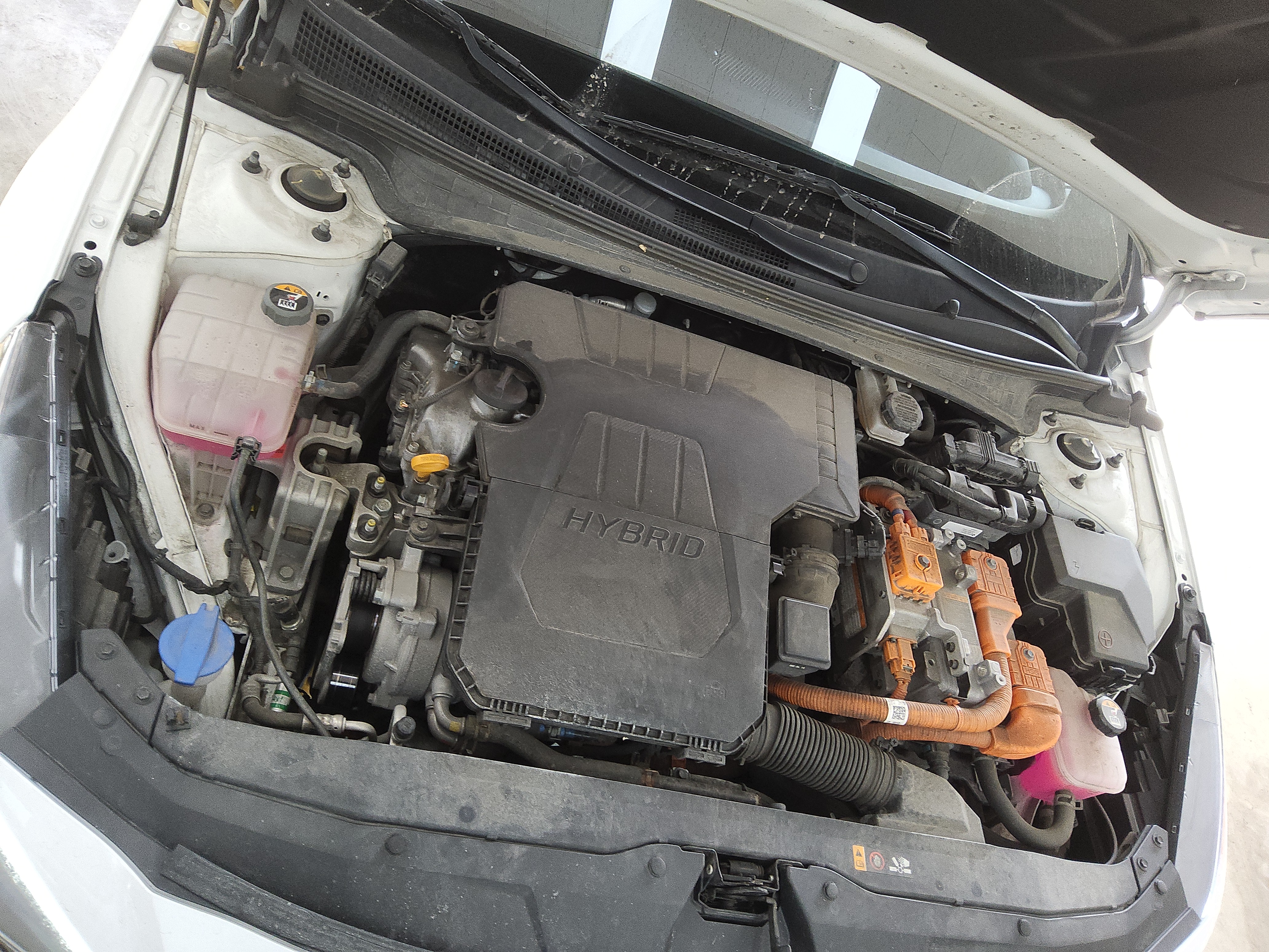 صورة إضافية