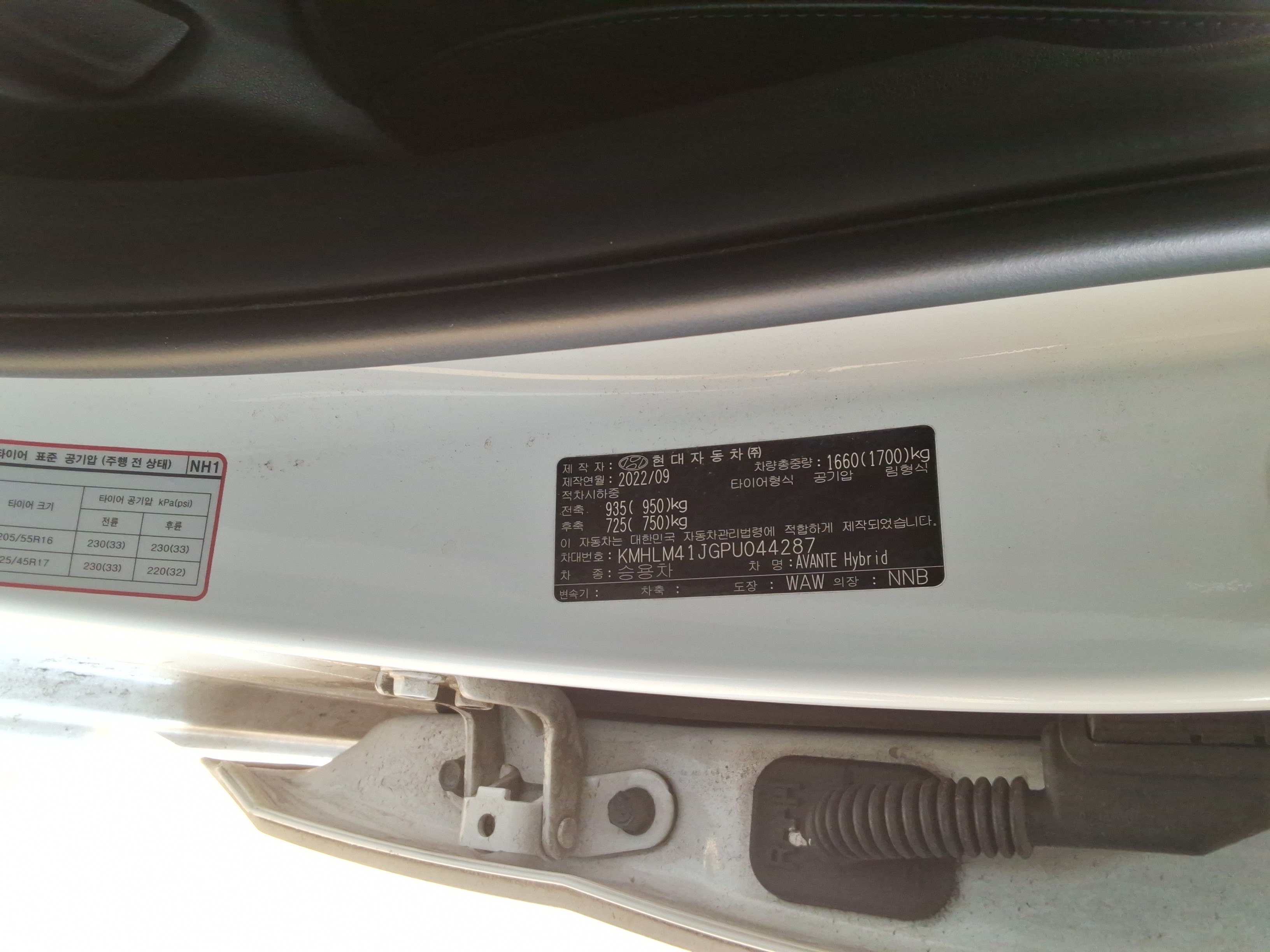 صورة إضافية