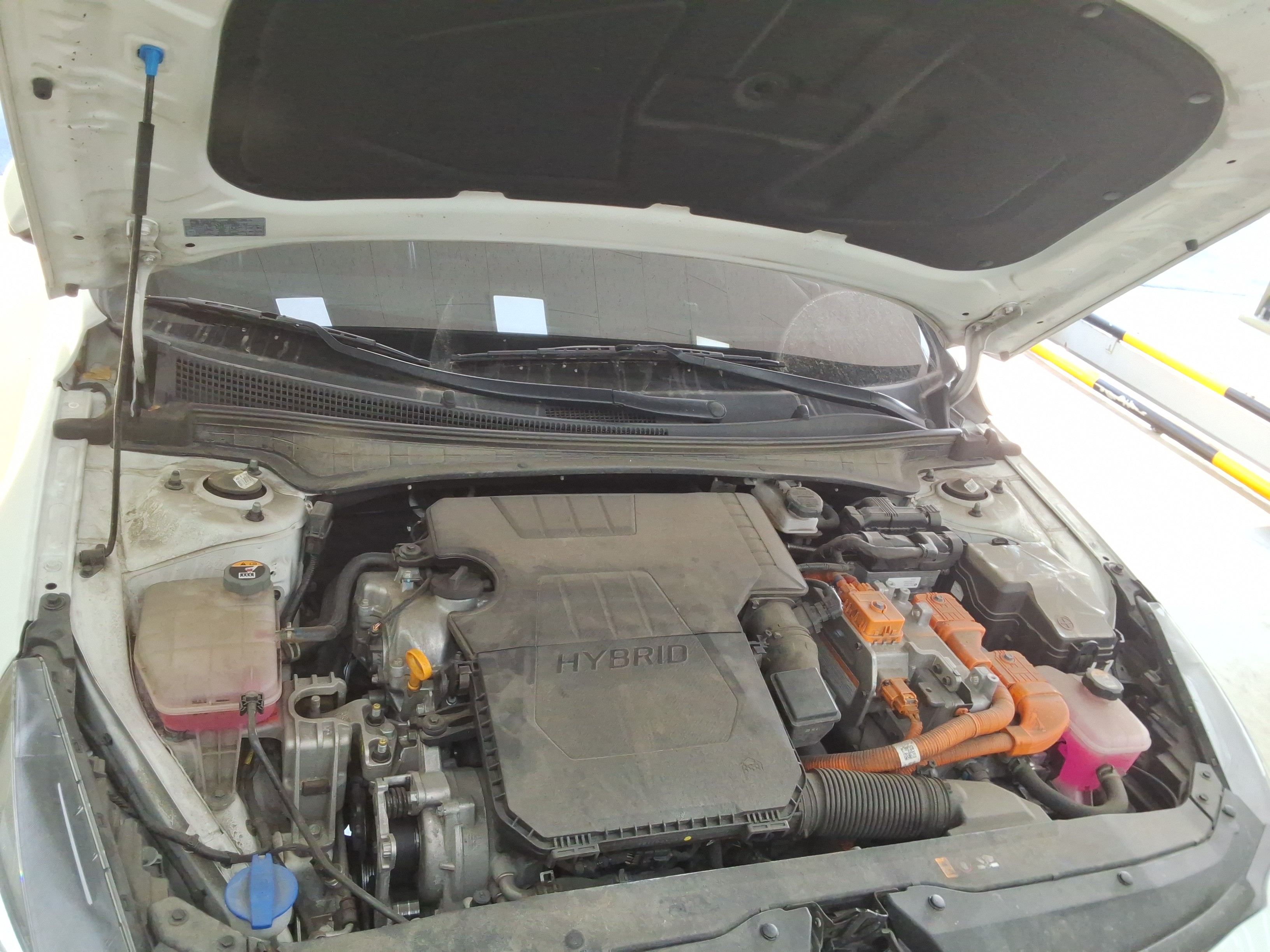 صورة إضافية