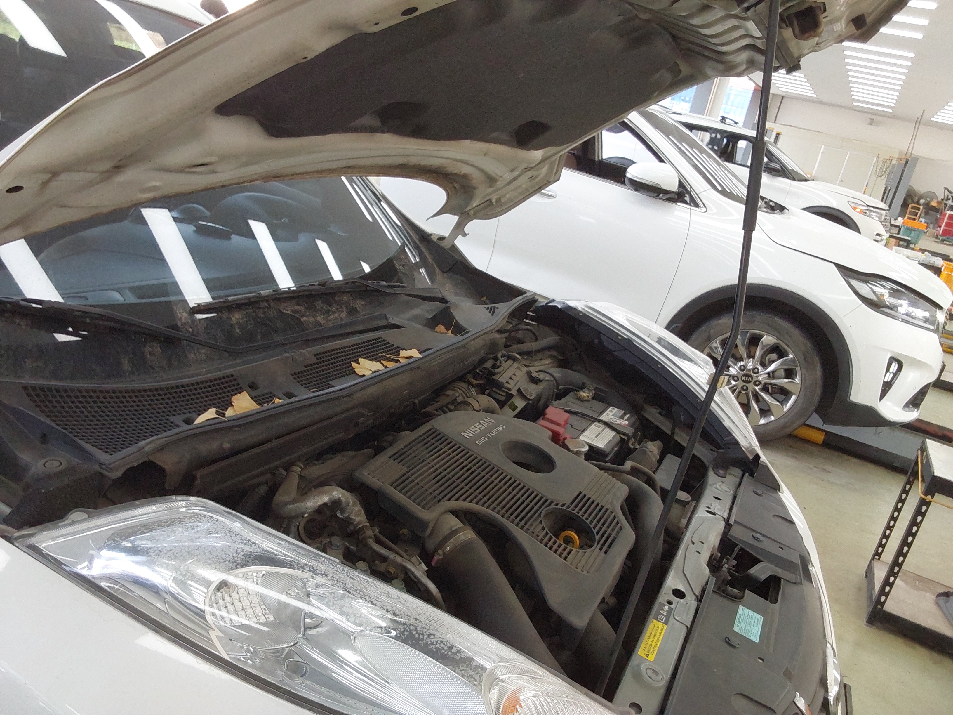 صورة إضافية