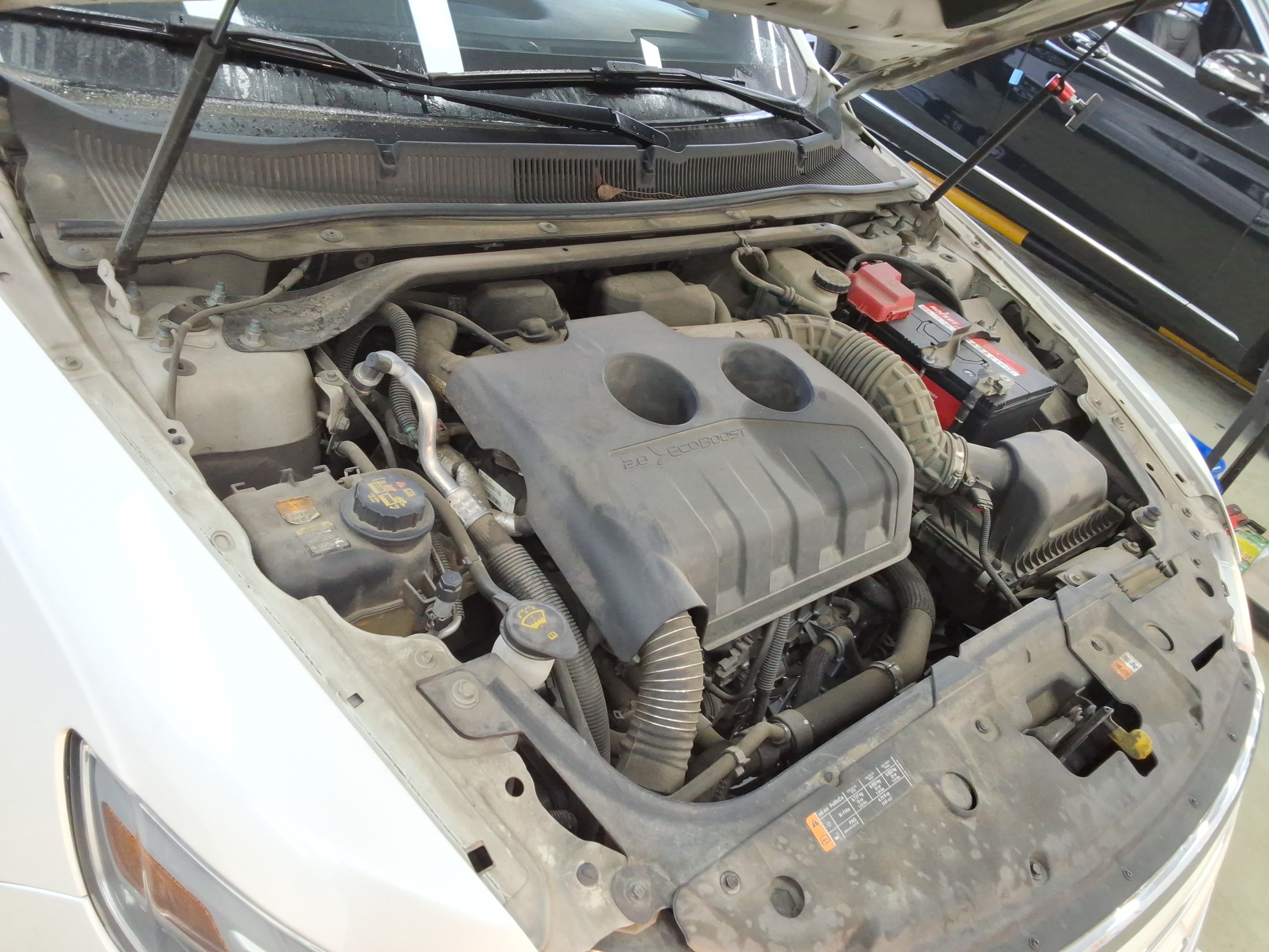 صورة إضافية