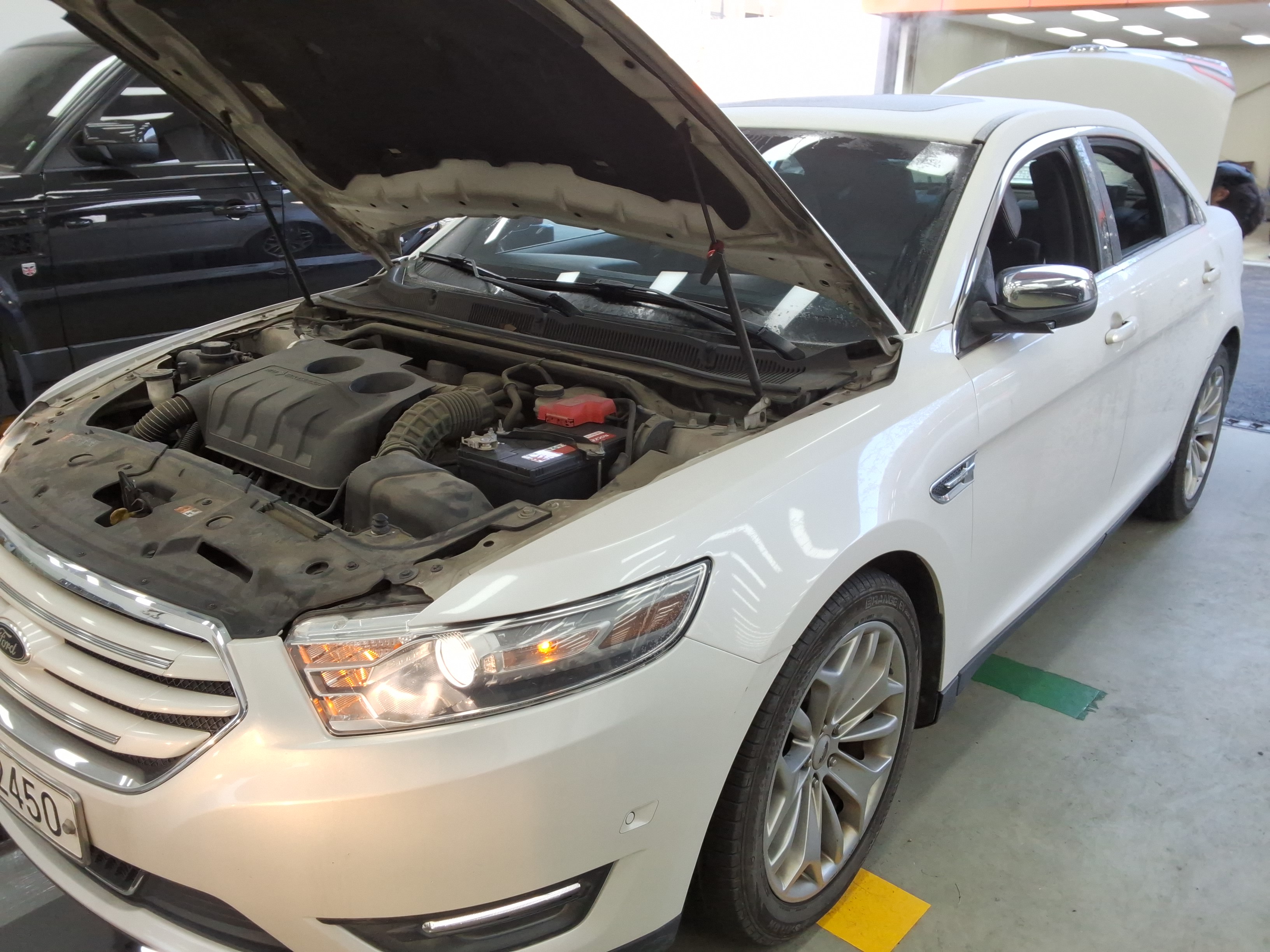 صورة إضافية