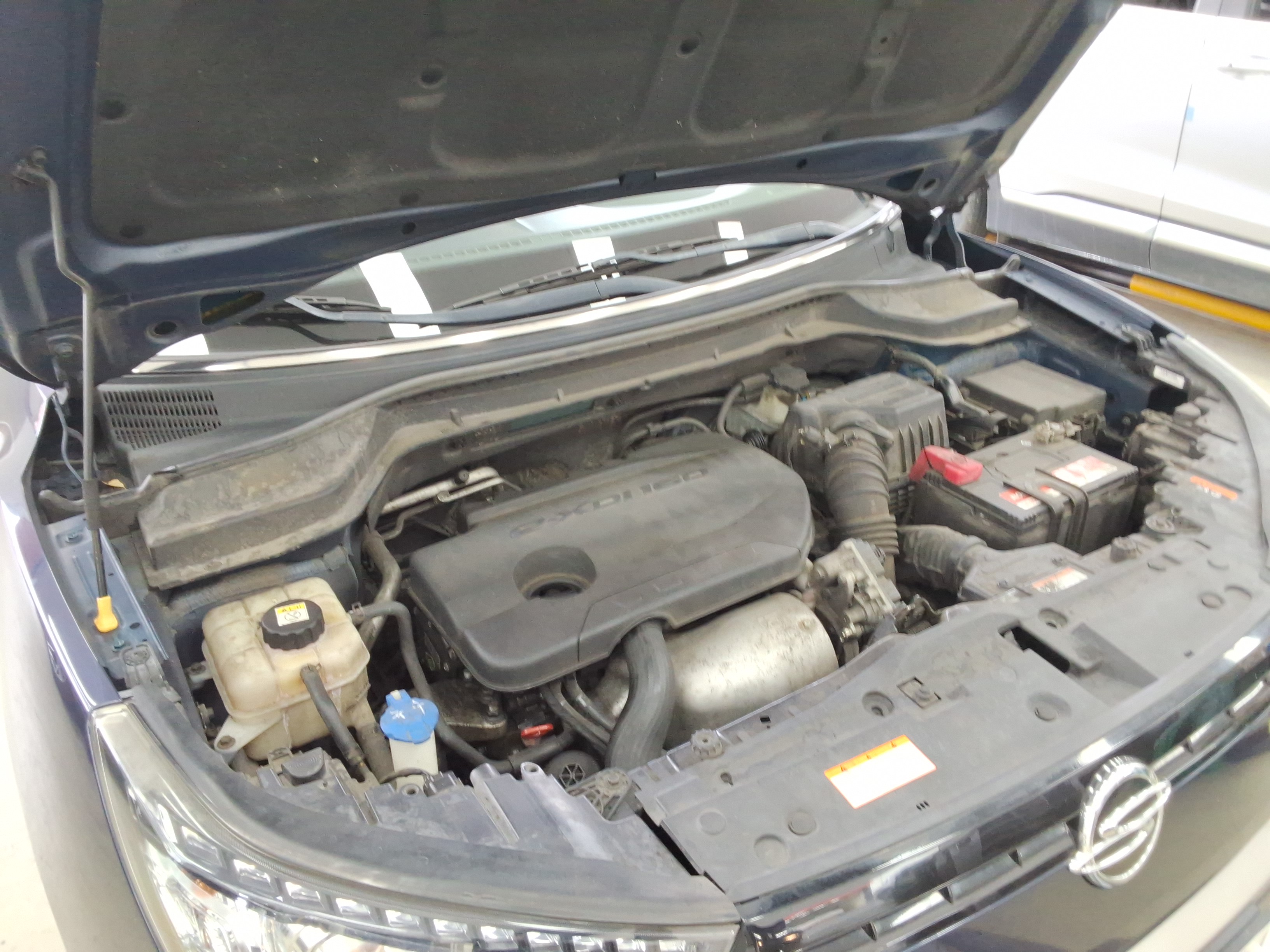 صورة إضافية