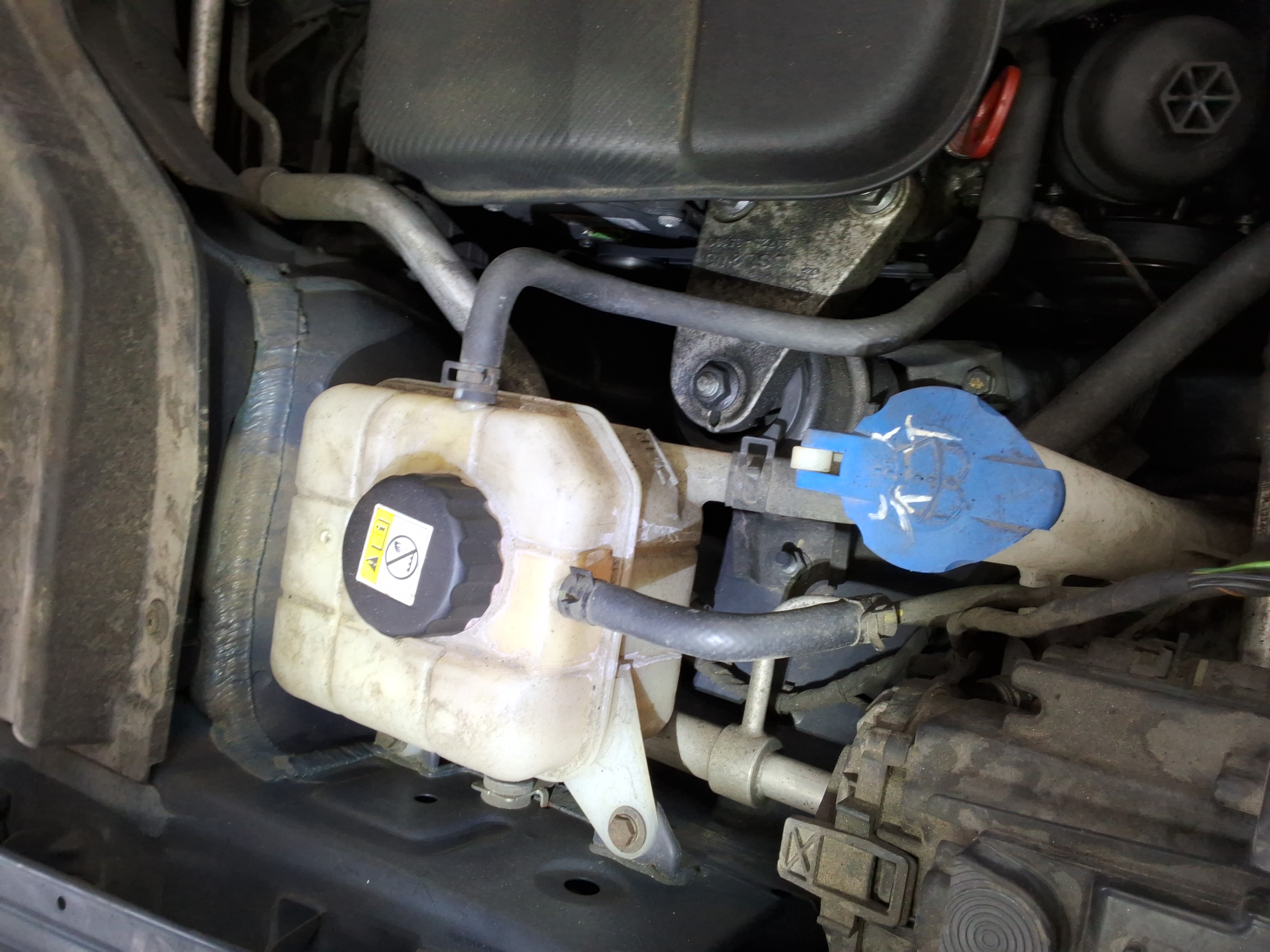 صورة إضافية