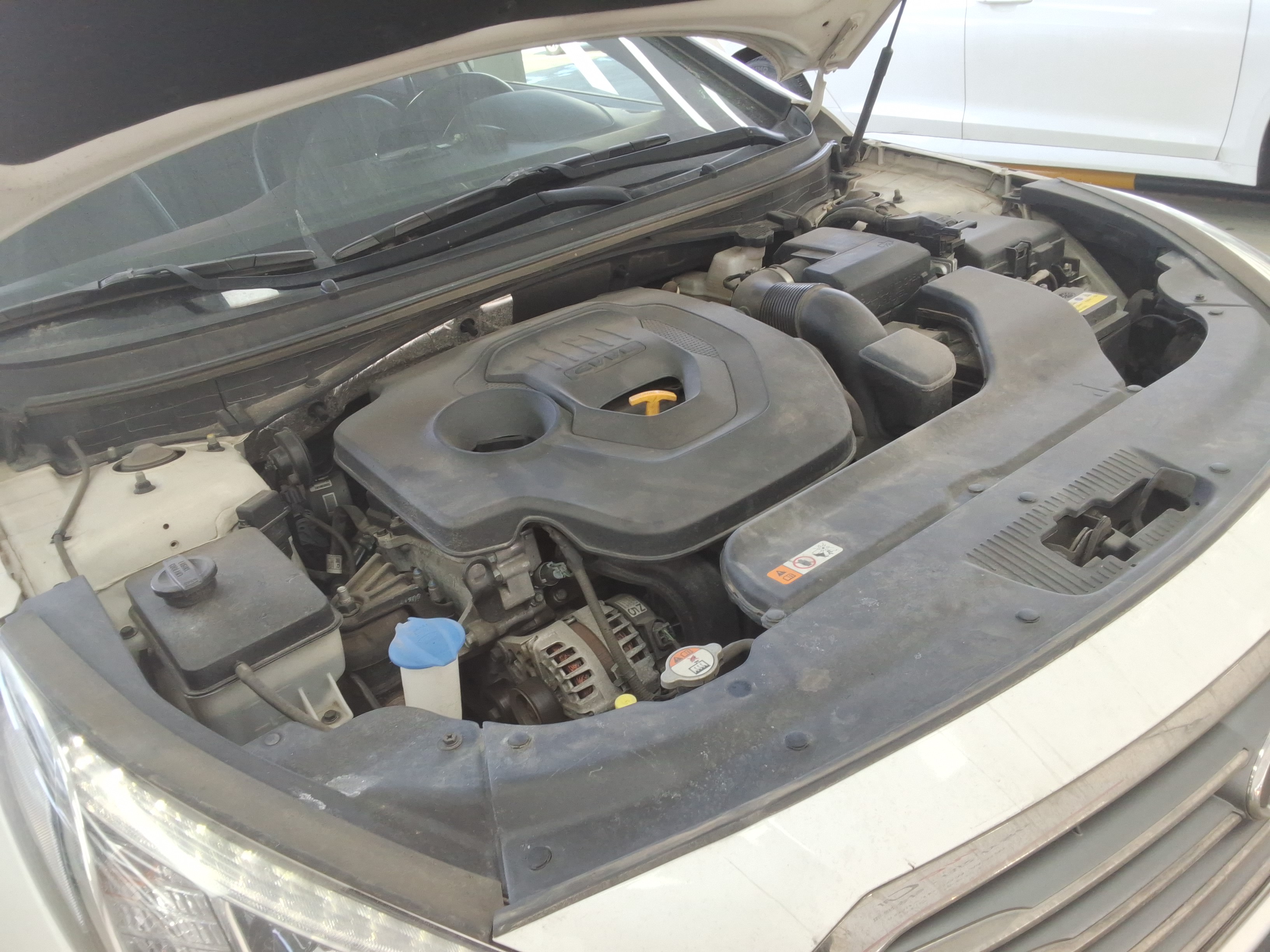 صورة إضافية