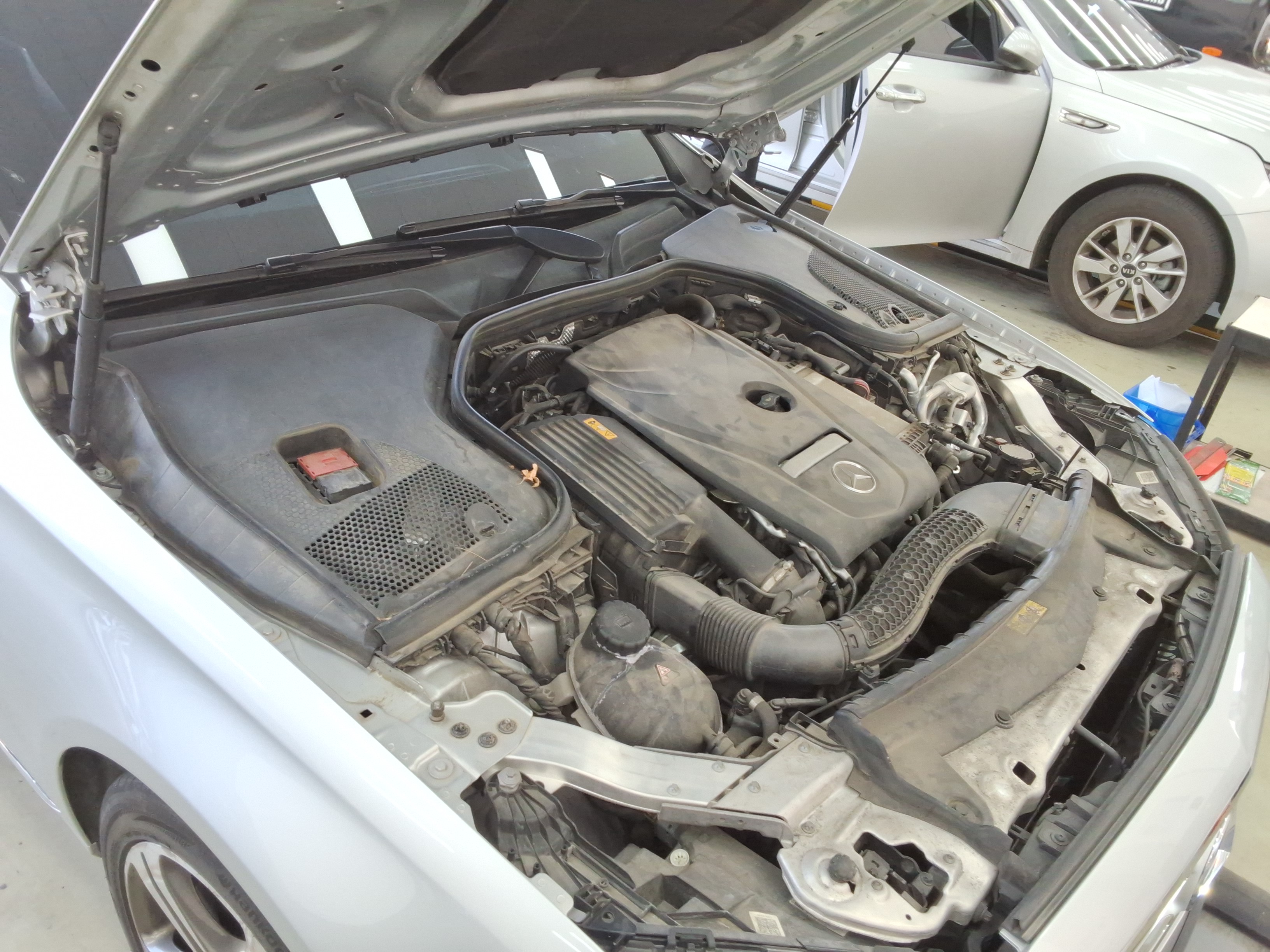 صورة إضافية