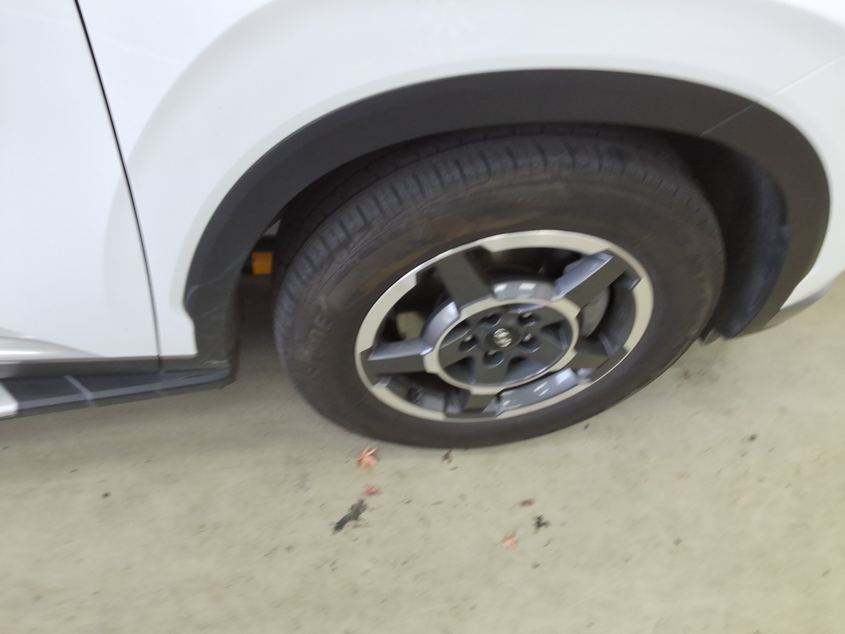 صورة إضافية