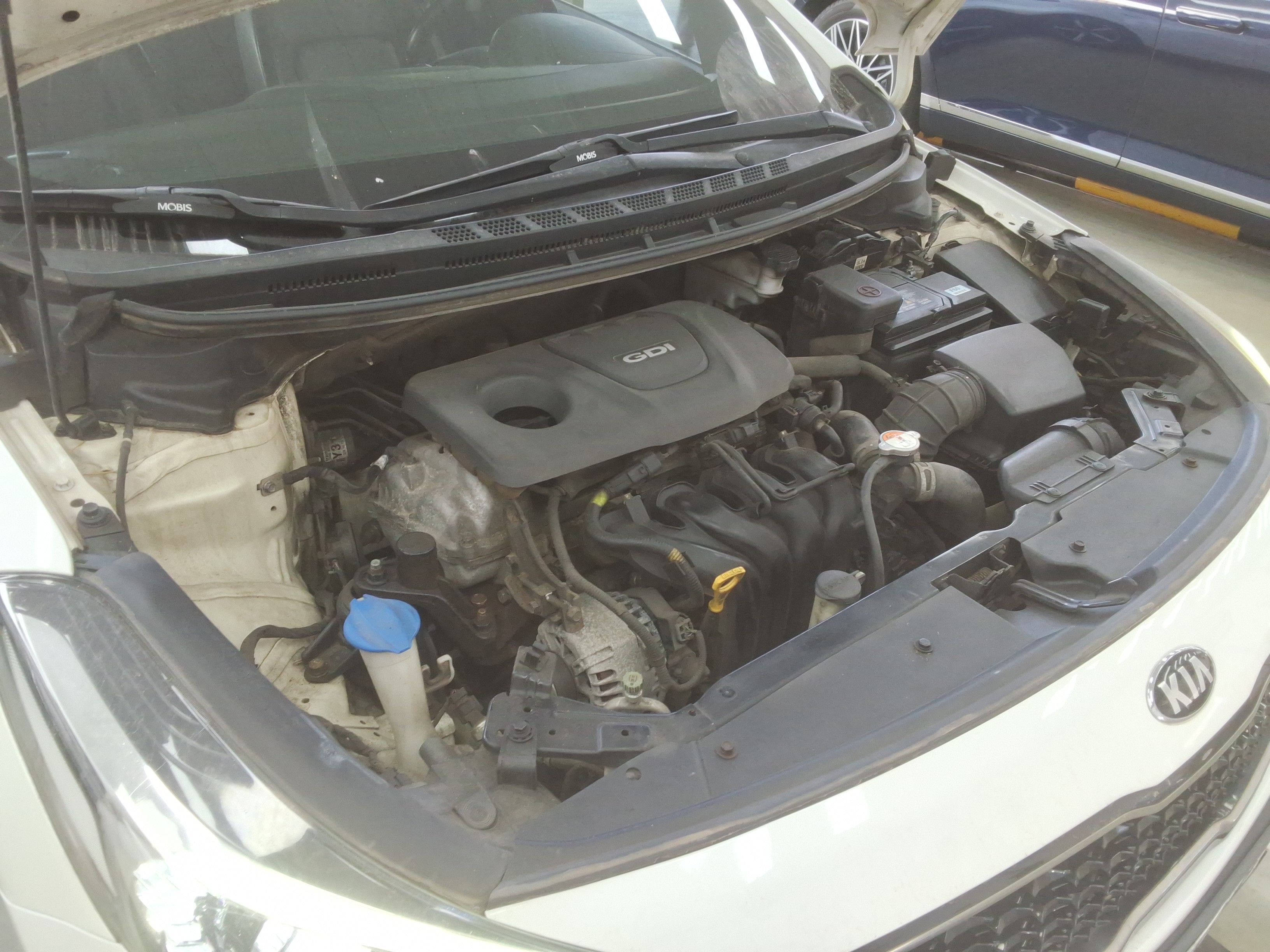 صورة إضافية