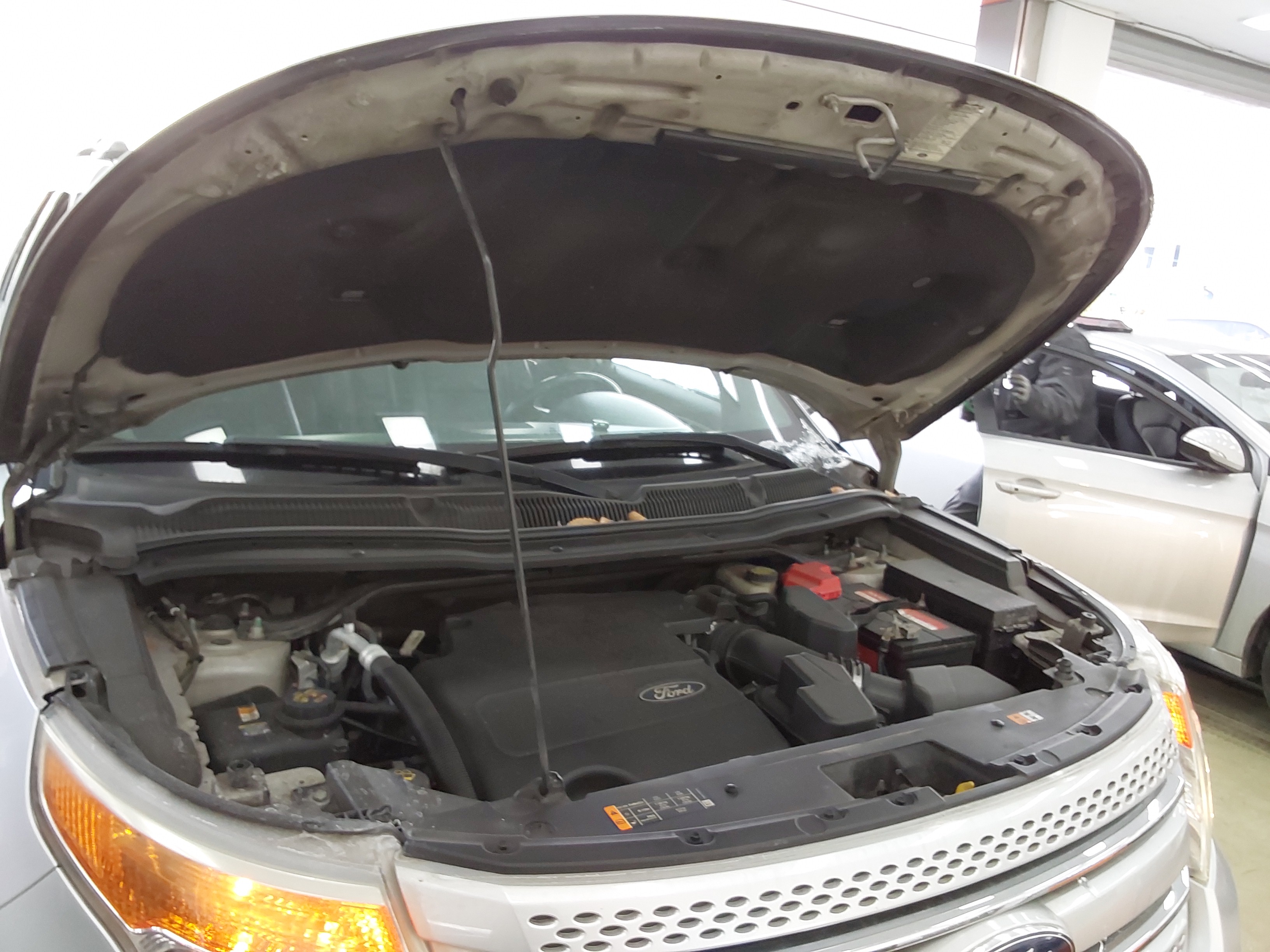 صورة إضافية