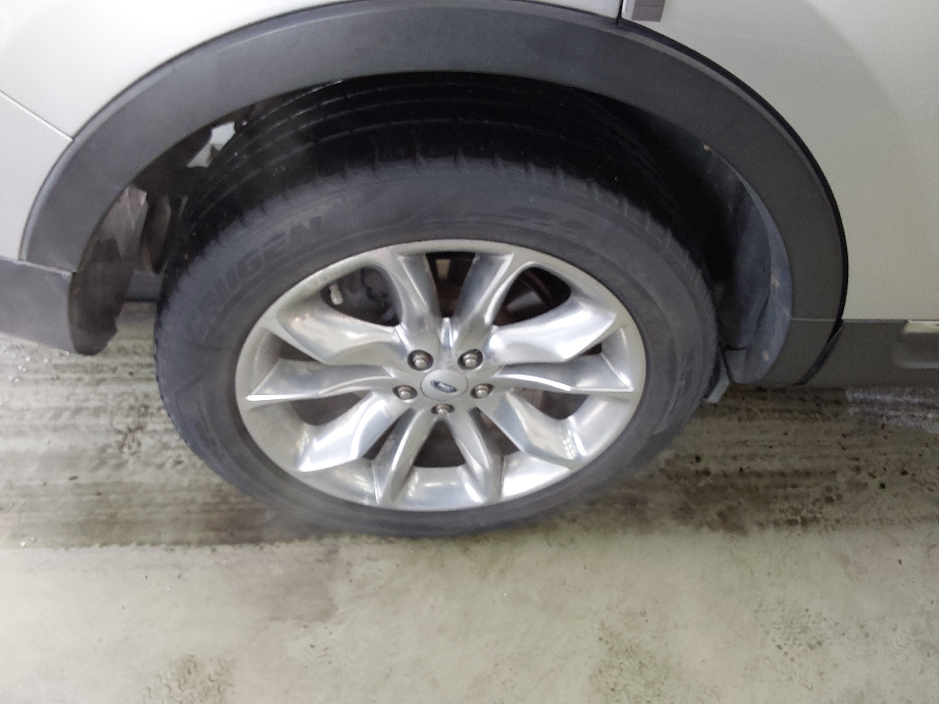 صورة إضافية