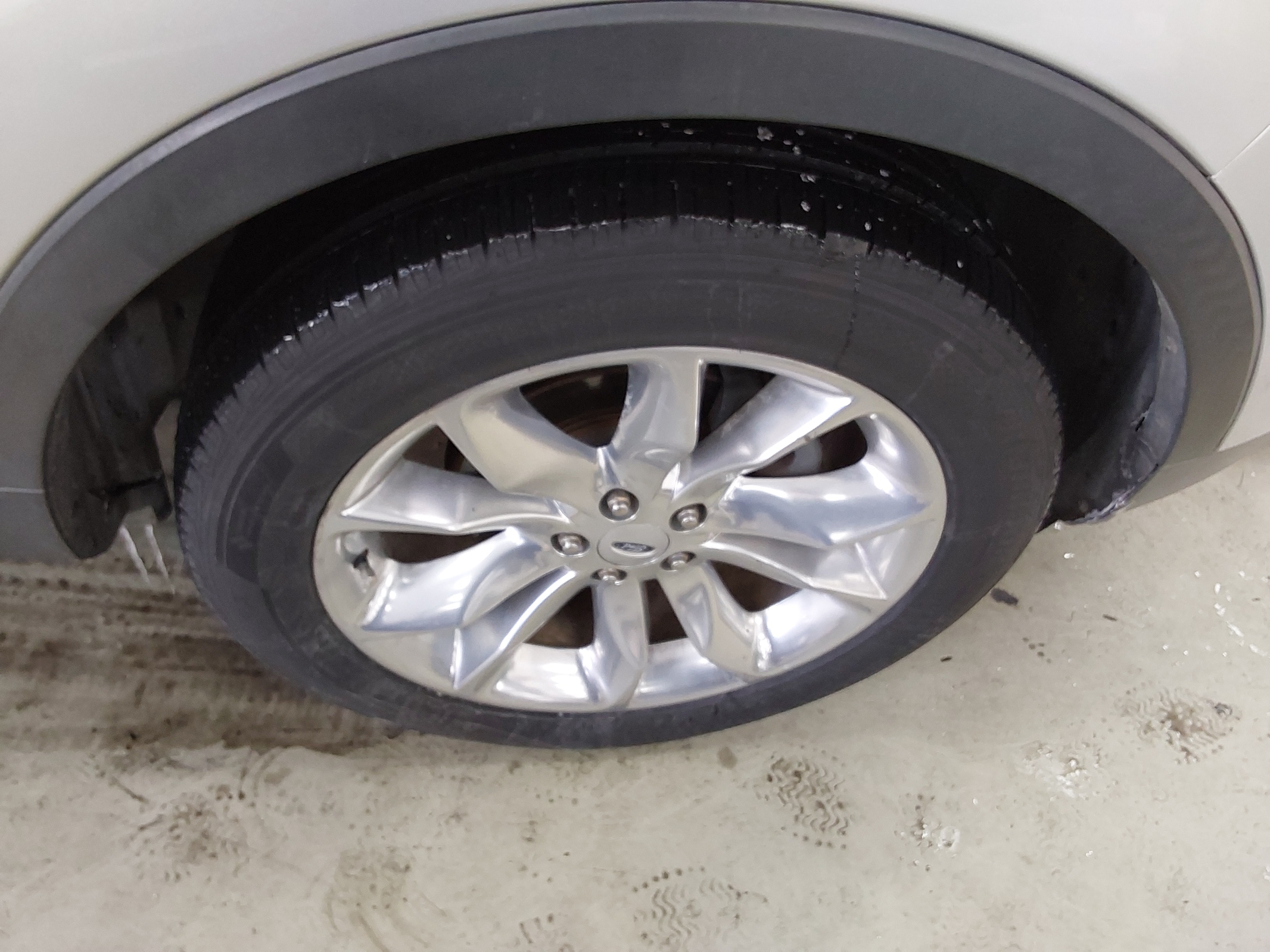 صورة إضافية