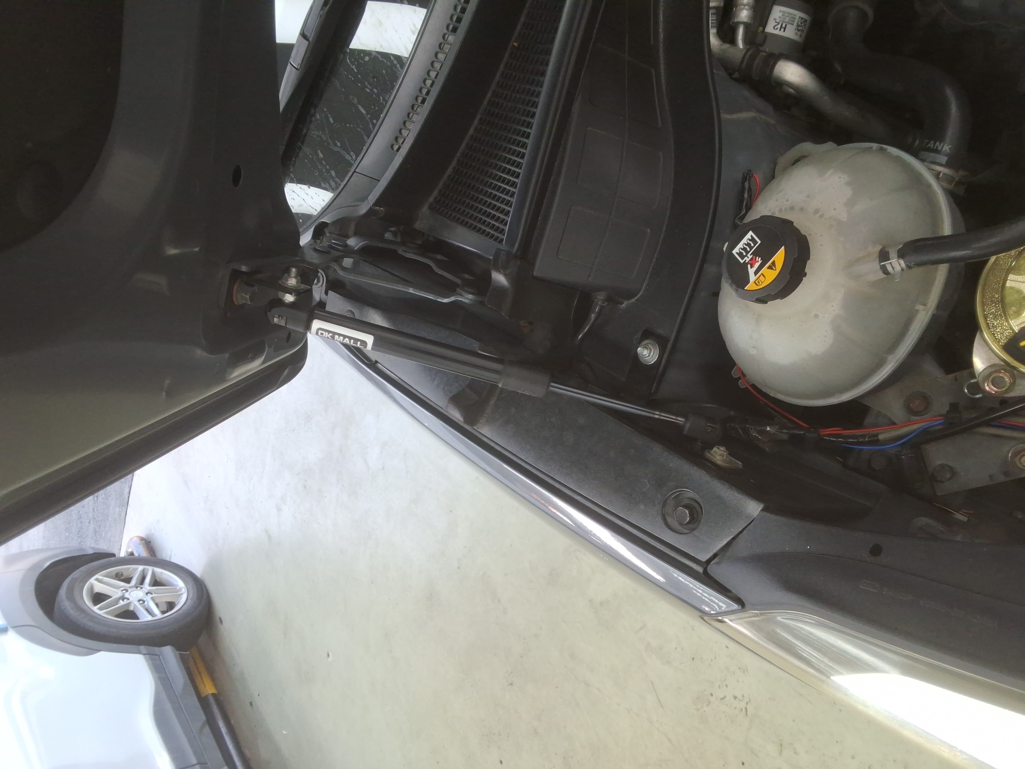 صورة إضافية