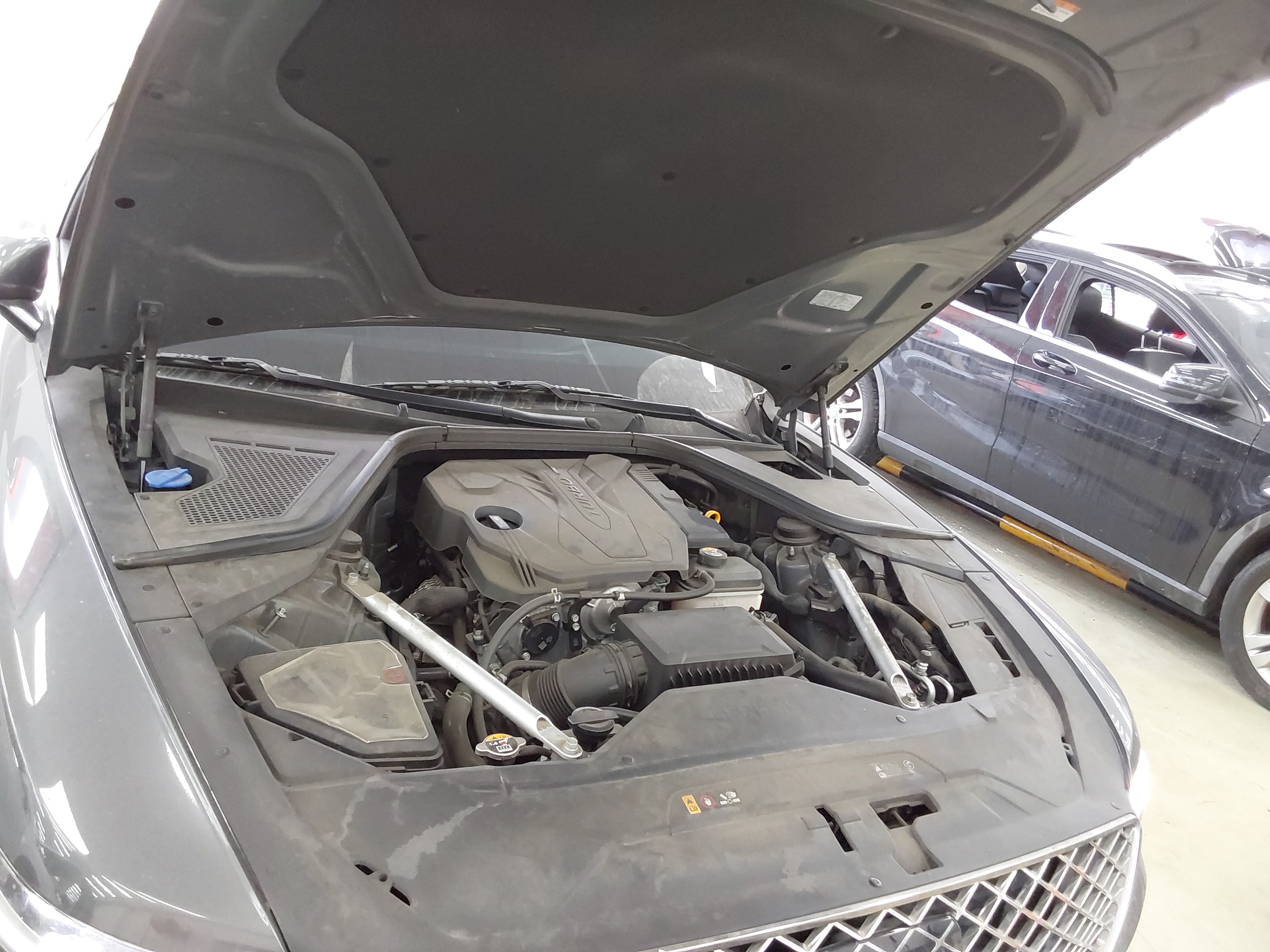 صورة إضافية