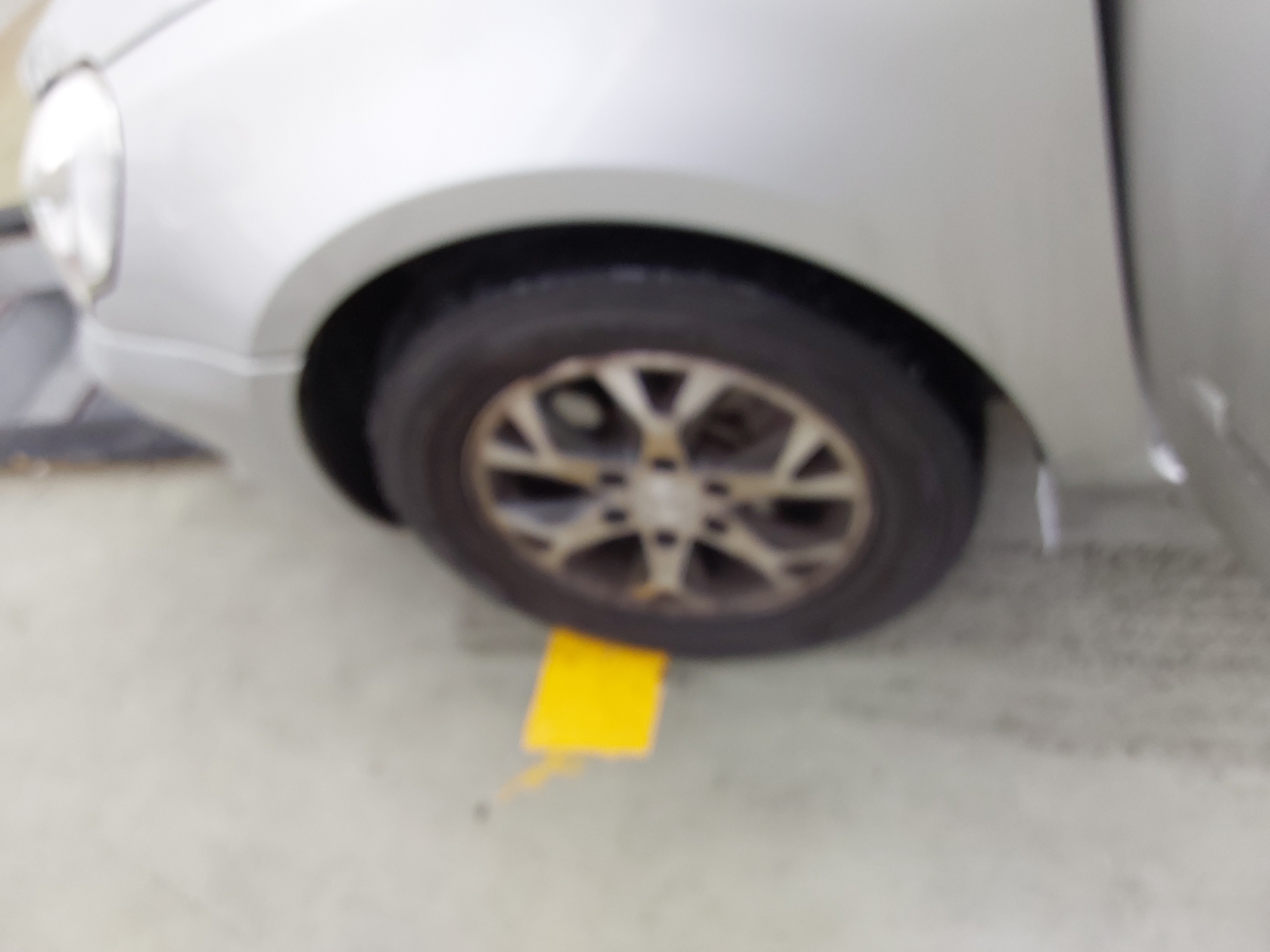 صورة إضافية