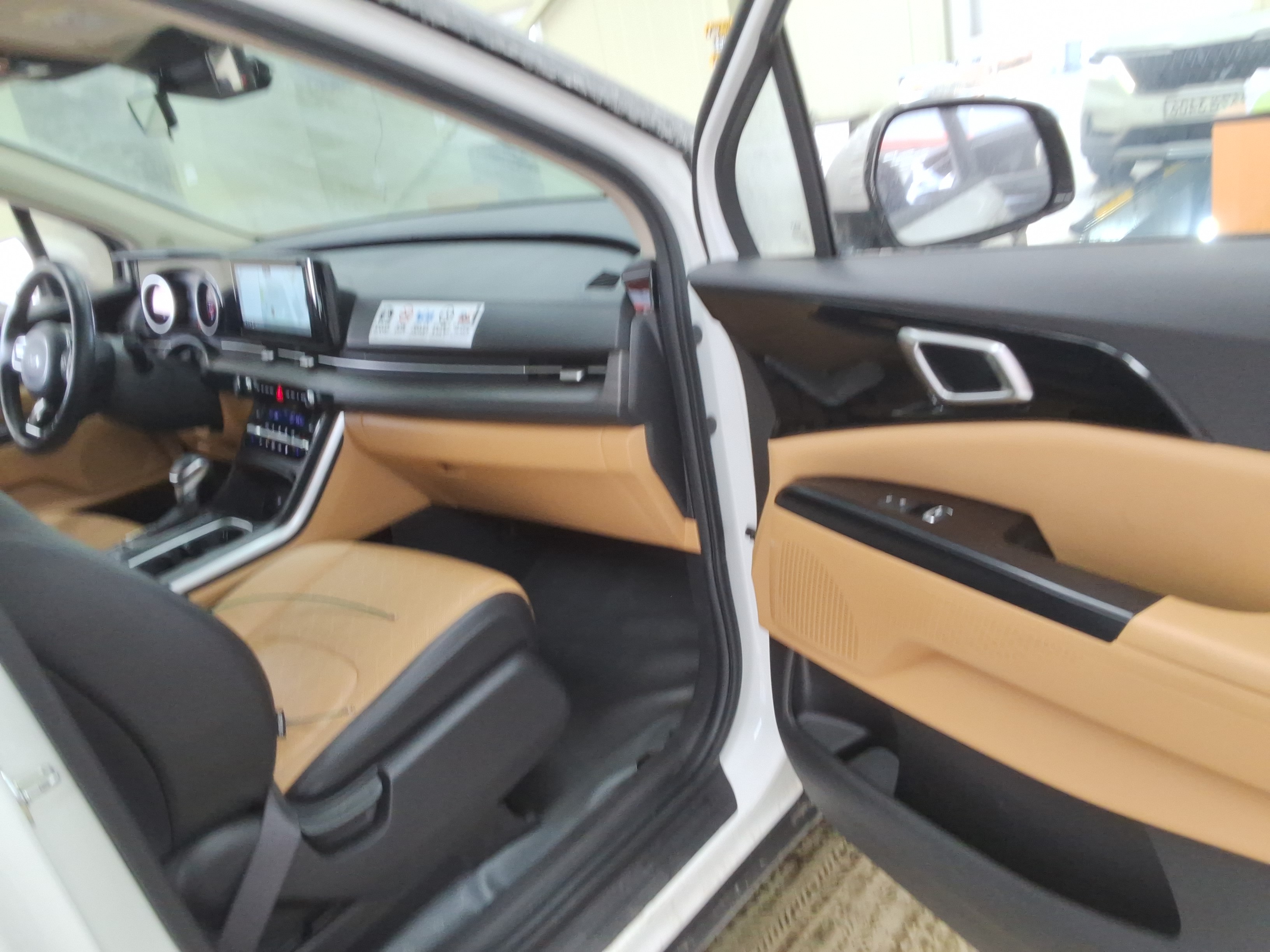 صورة إضافية