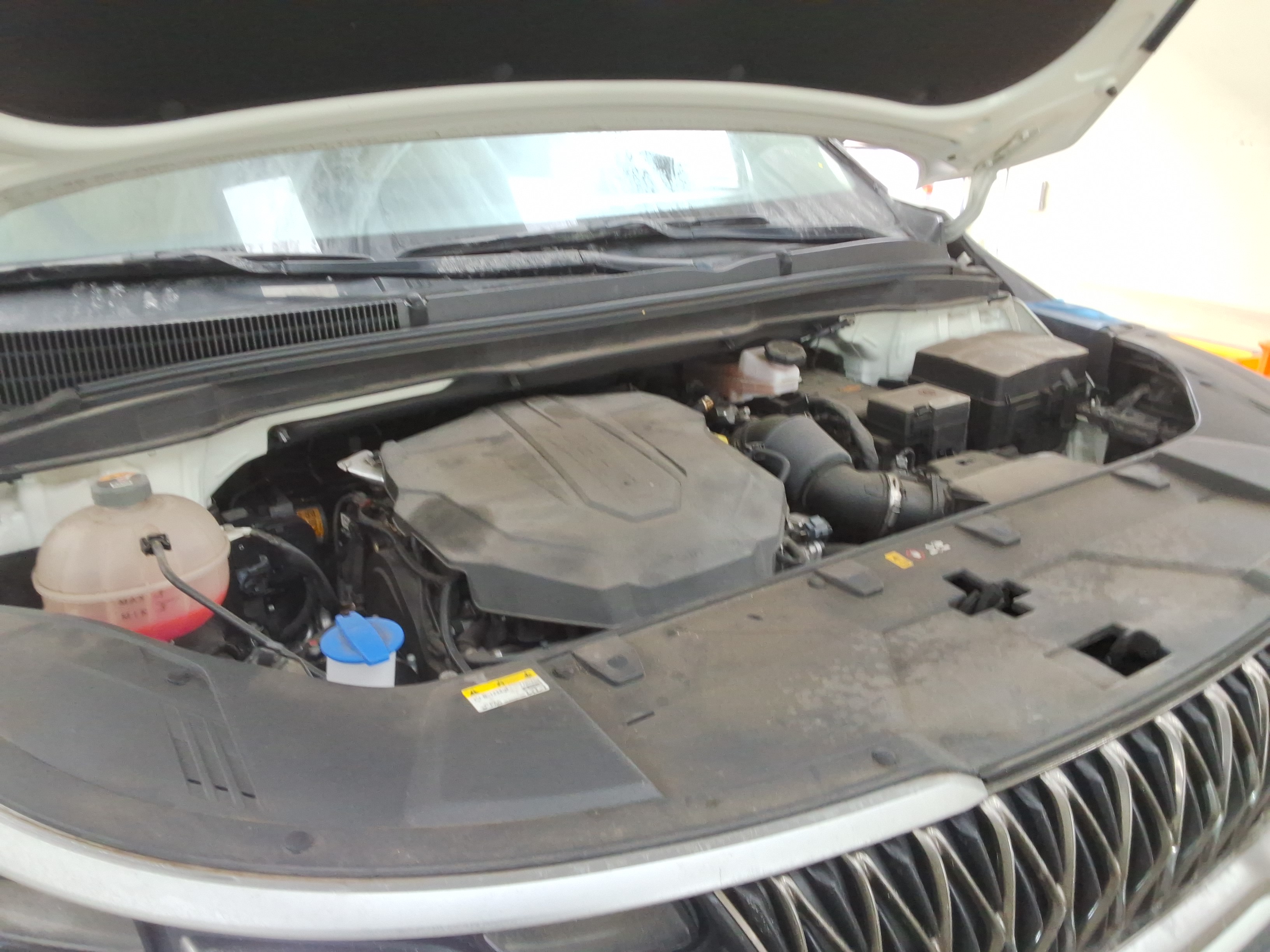 صورة إضافية