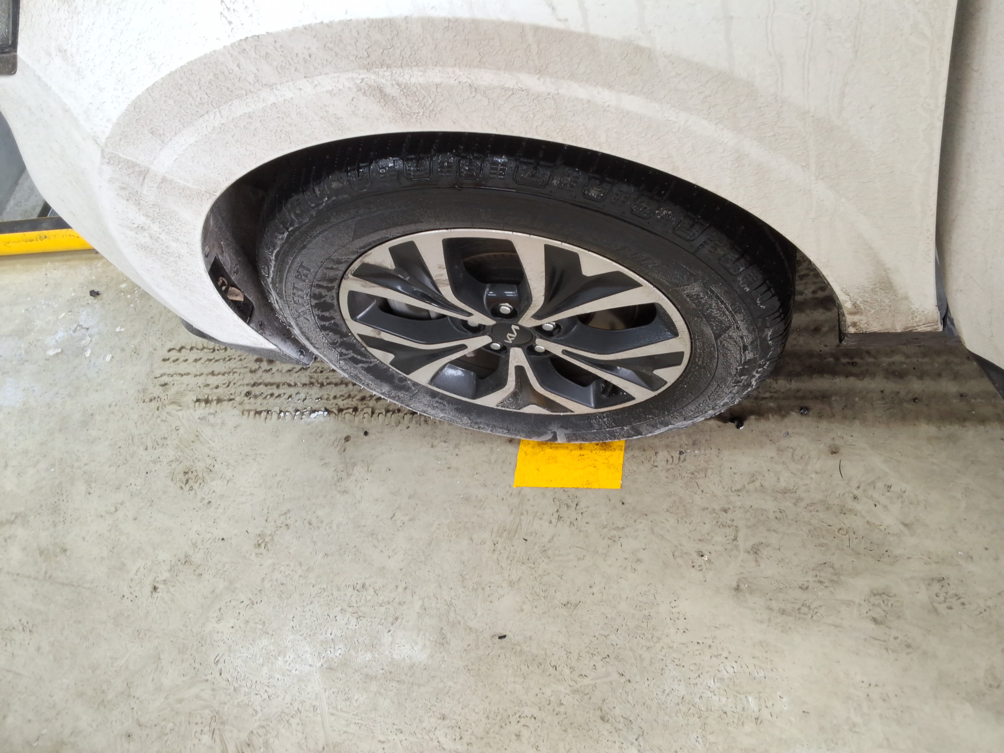 صورة إضافية