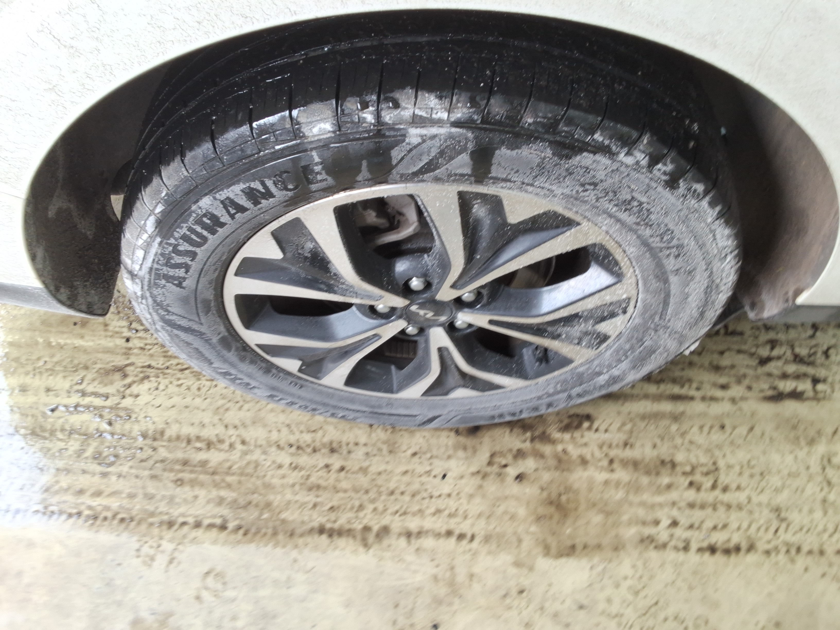 صورة إضافية