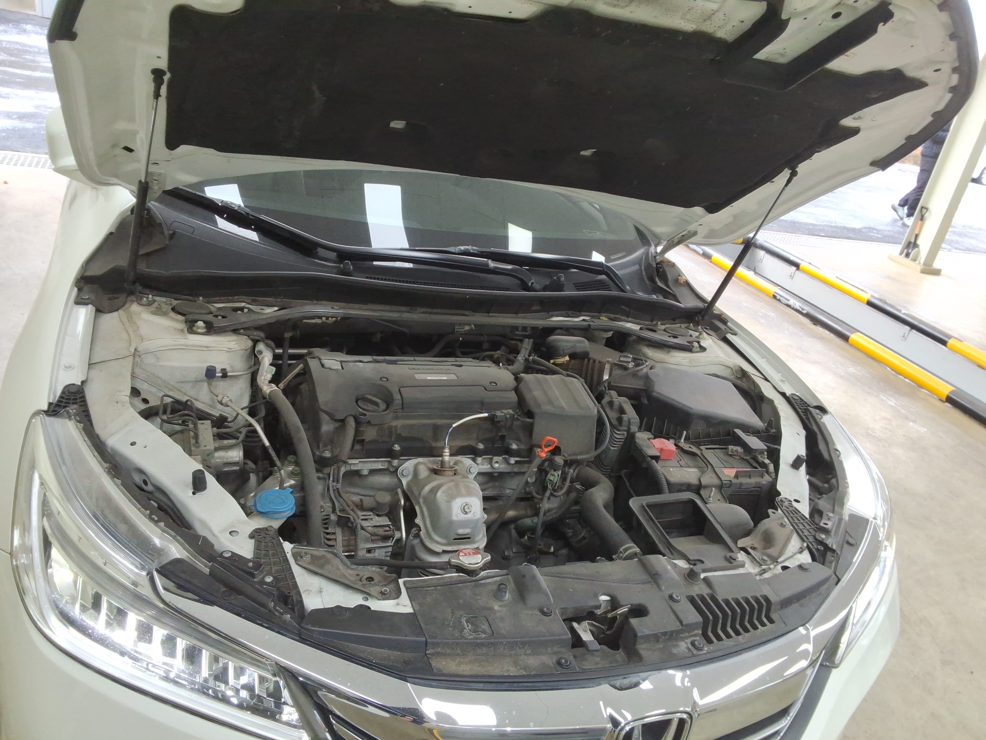 صورة إضافية