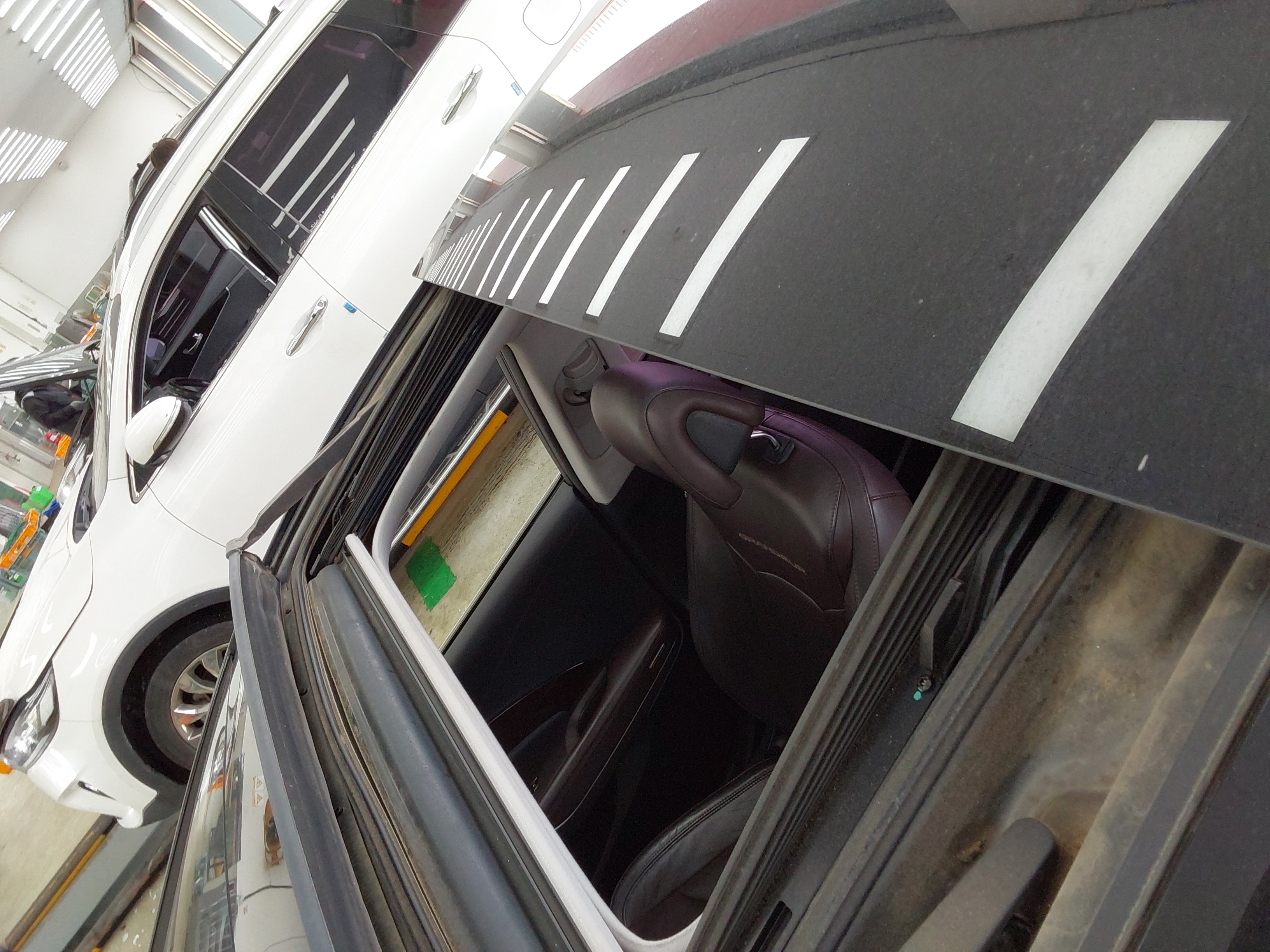 صورة إضافية