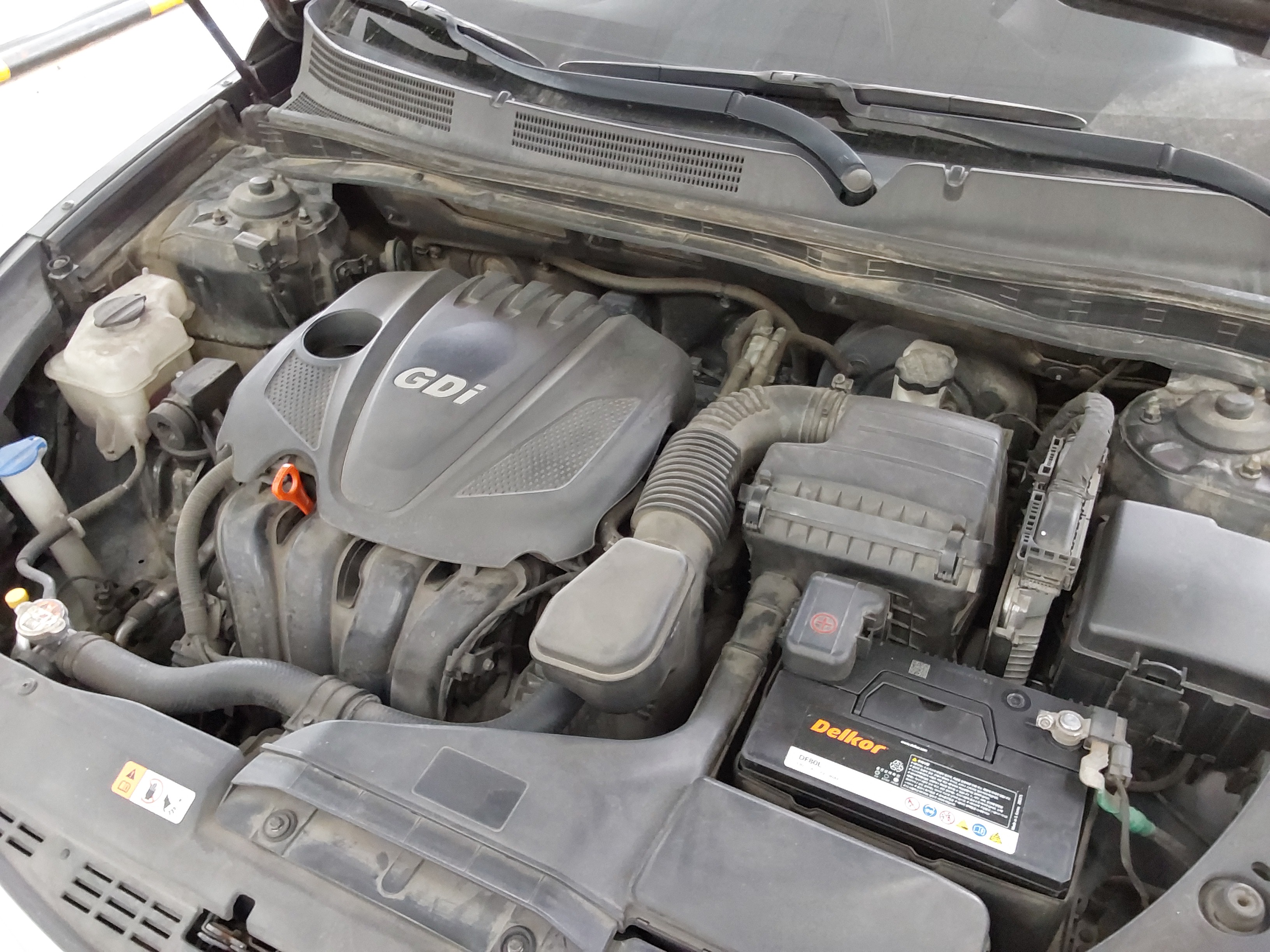 صورة إضافية