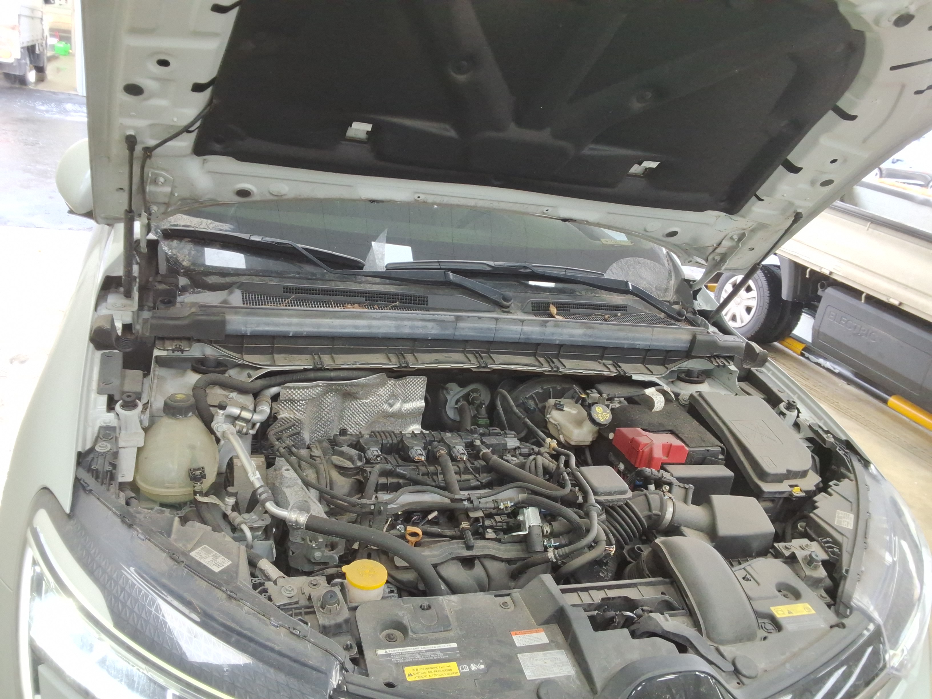 صورة إضافية