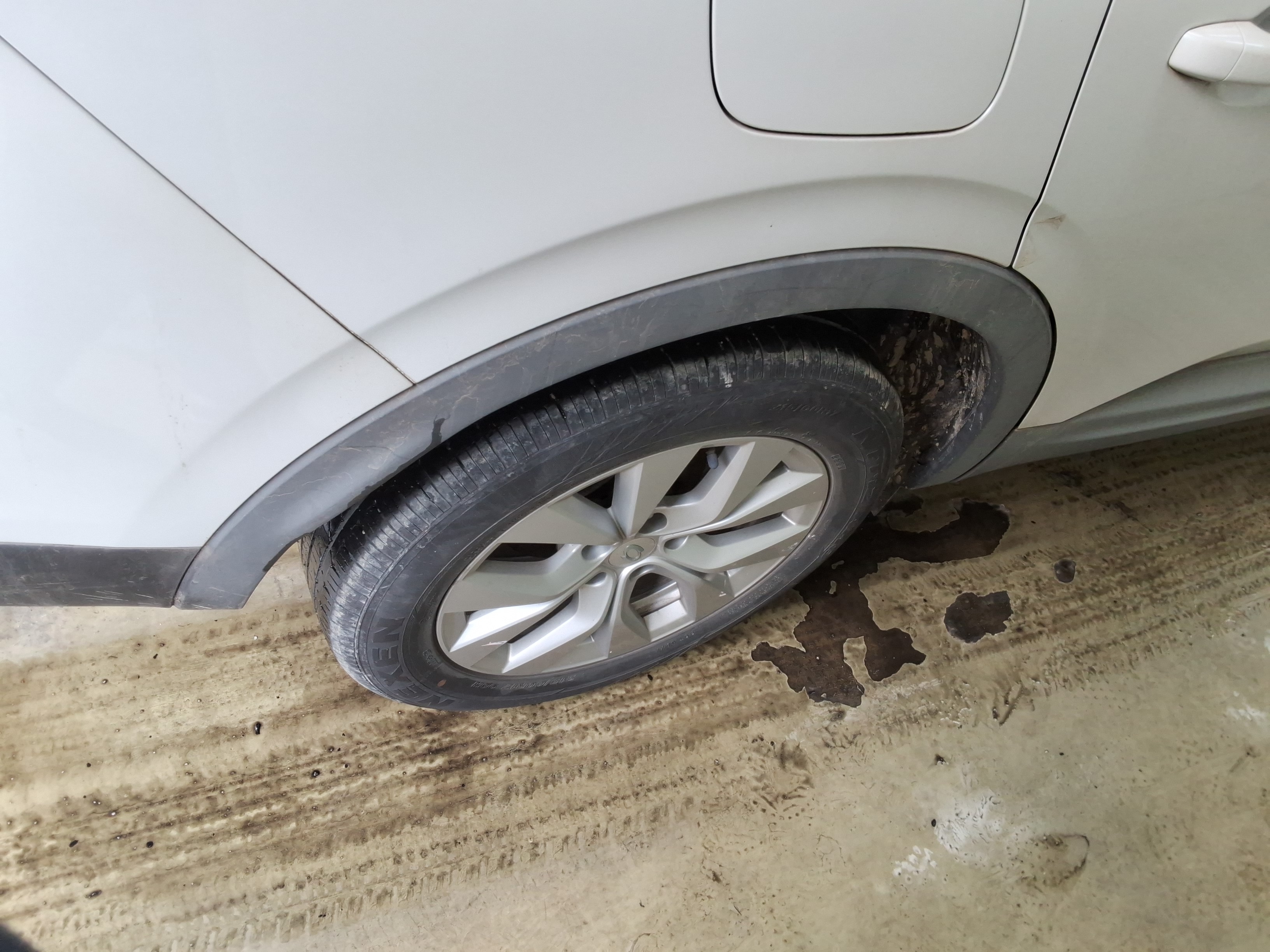 صورة إضافية