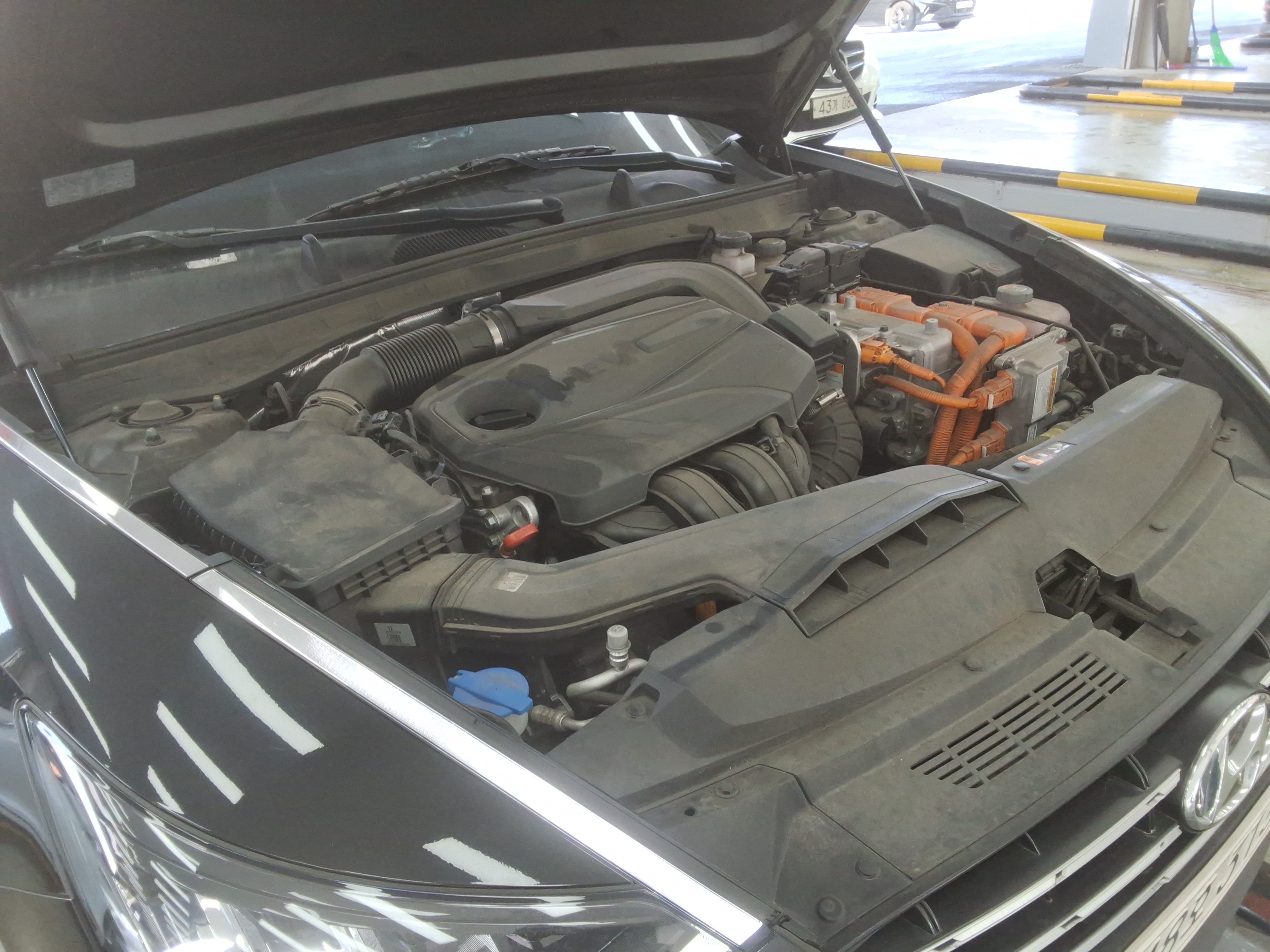 صورة إضافية